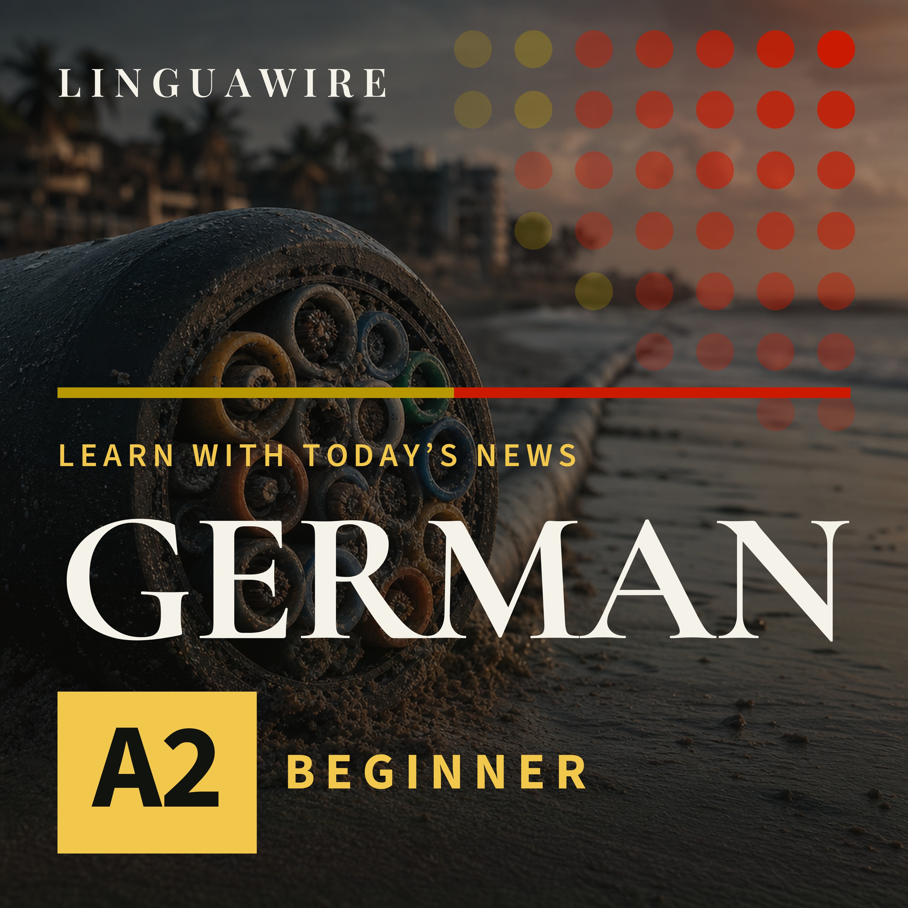 A2 German News | Can India's Internet Handle One Weak Spot? episode artwork
