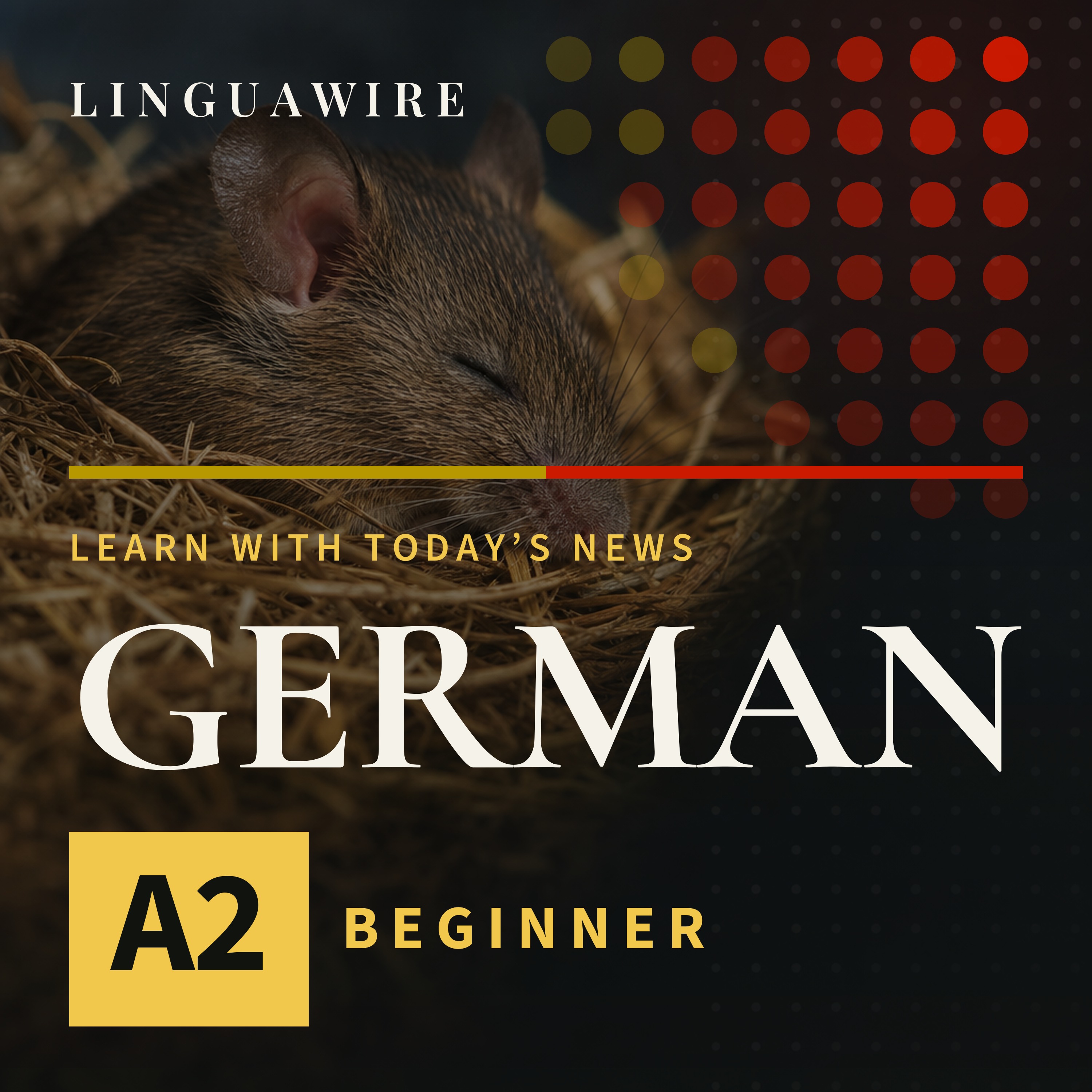 A2 German News | Mice Lose Synapses but Keep Their Memories episode artwork