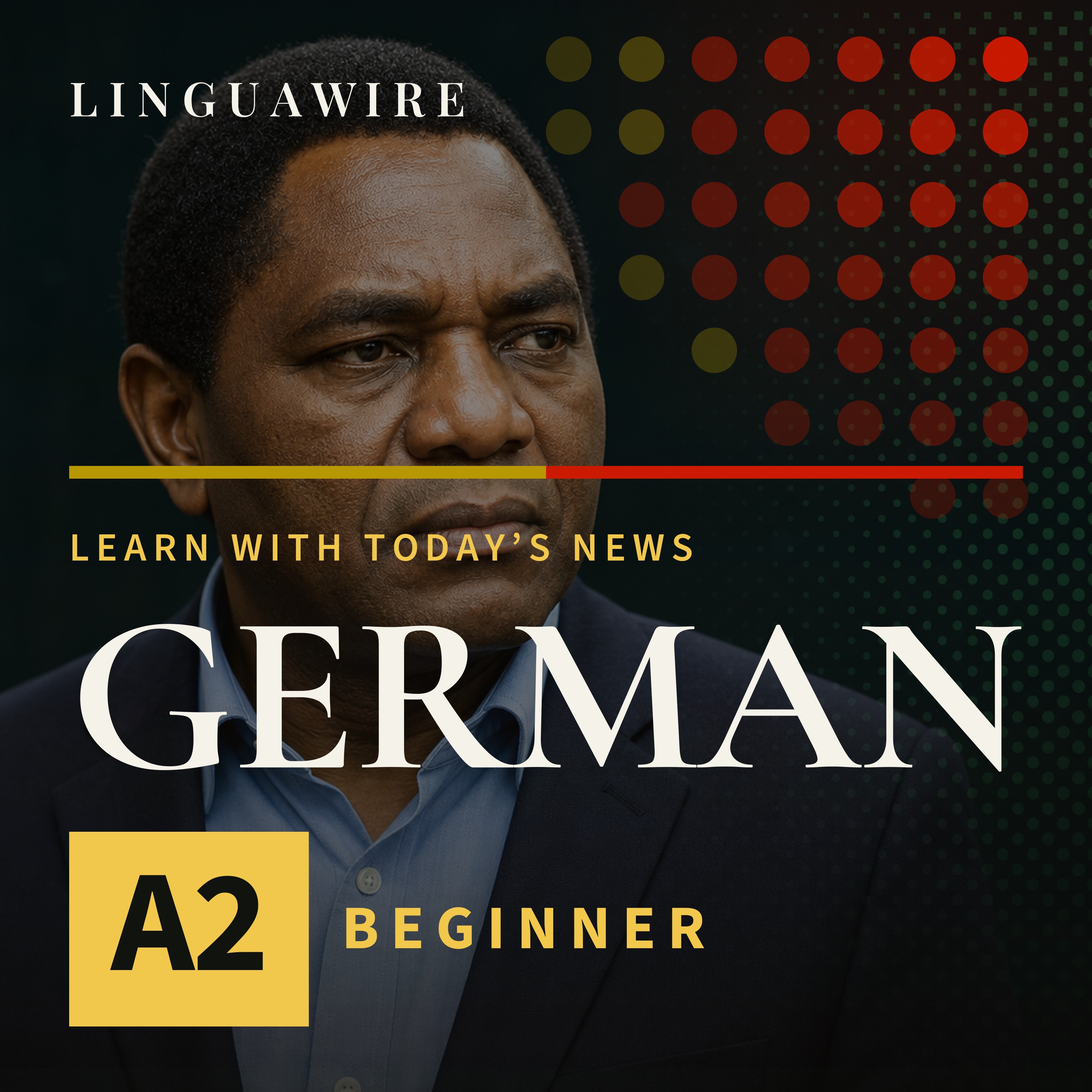 A2 German News | Can Zambia Finish Counting After Violence? episode artwork
