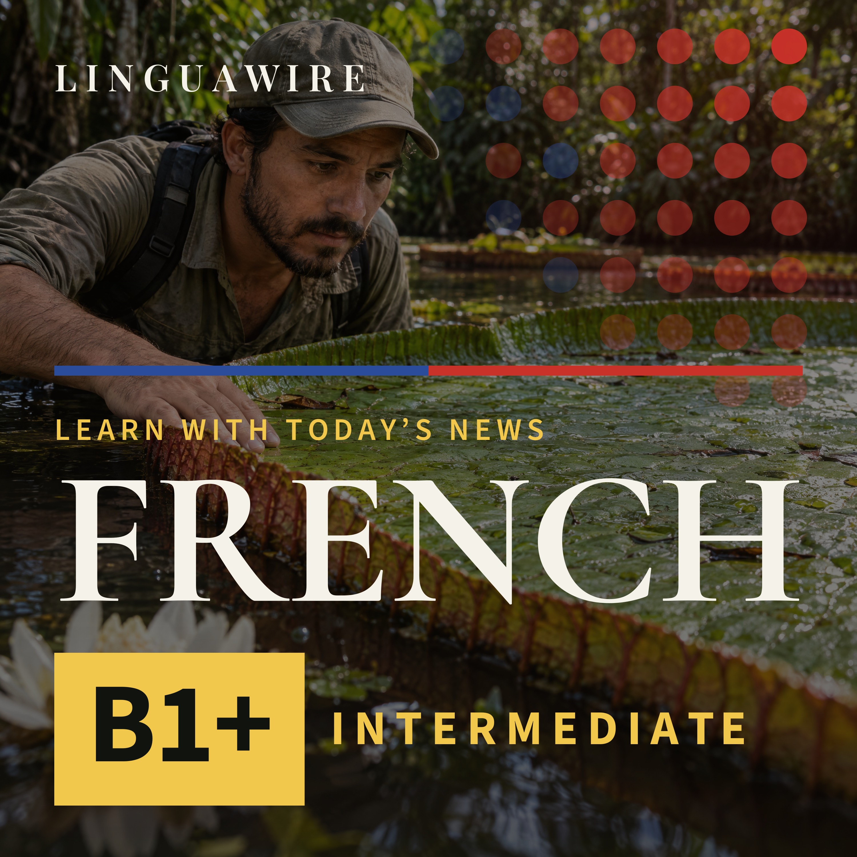 B1 French News | A Giant Waterlily Hidden in Colombia Faces Extinction episode artwork