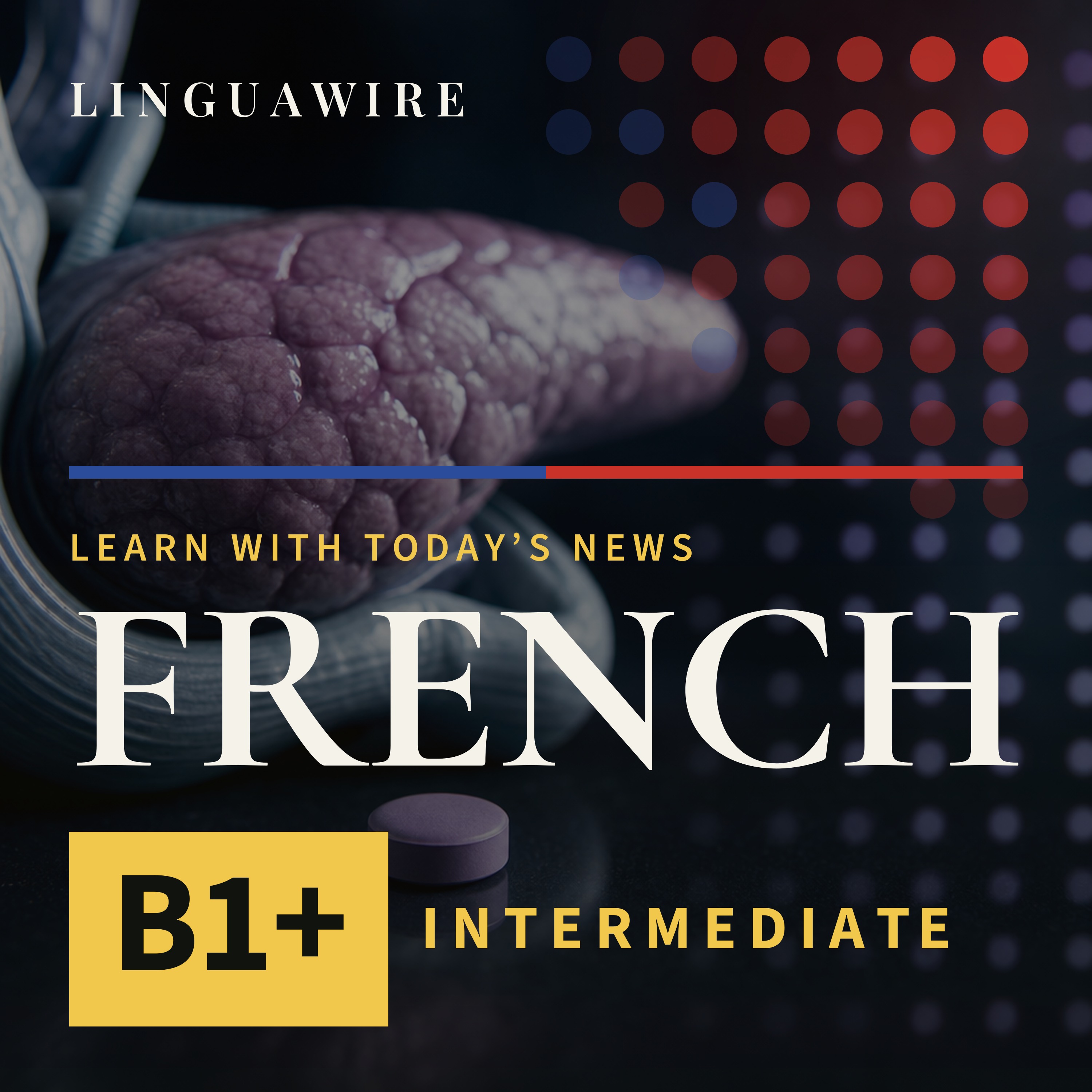 B1 French News | Can This New Pill Help Pancreatic Cancer Patients Live Longer? episode artwork