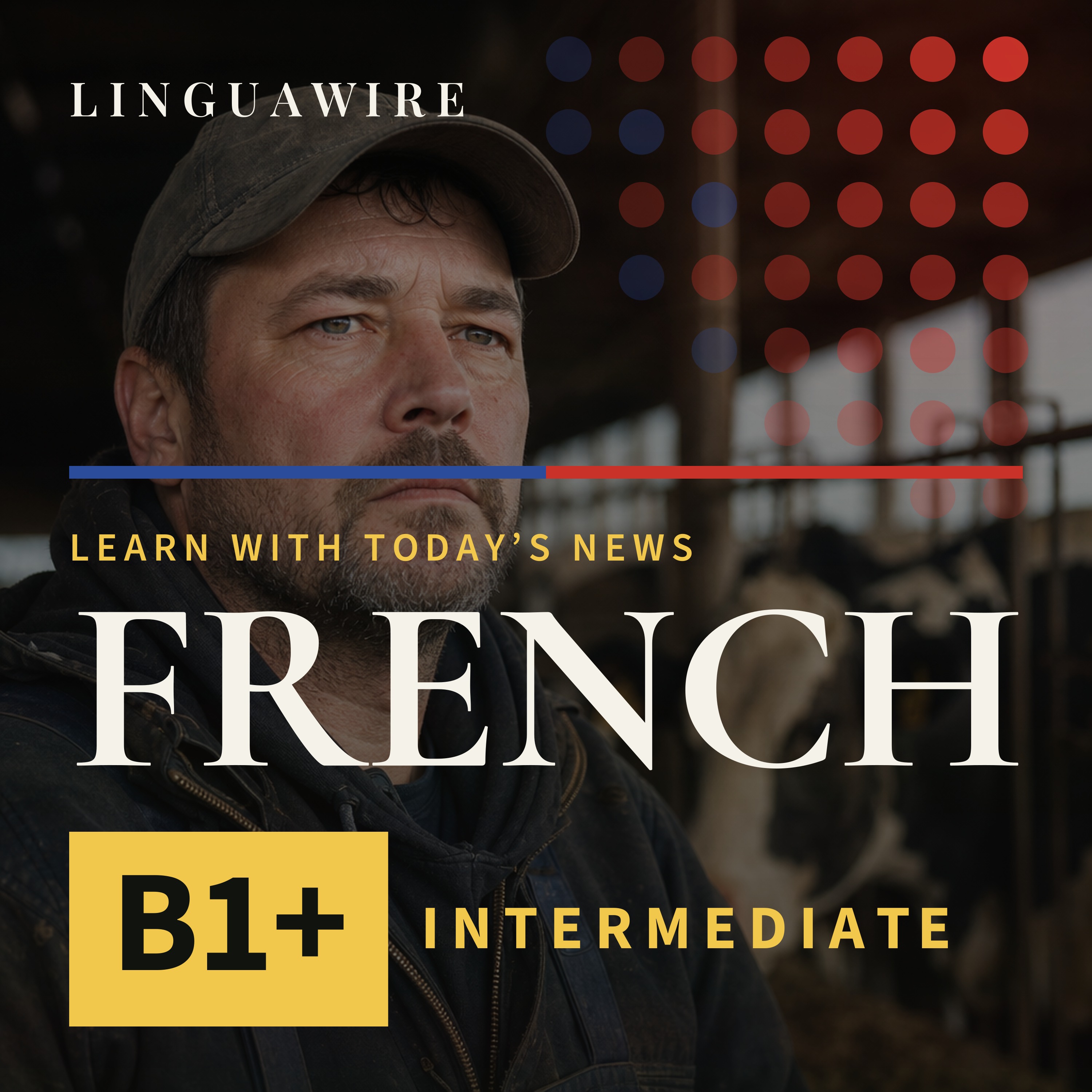 B1 French News | Can Canadian Dairy Farmers Absorb Trump's Tariff Shock?
