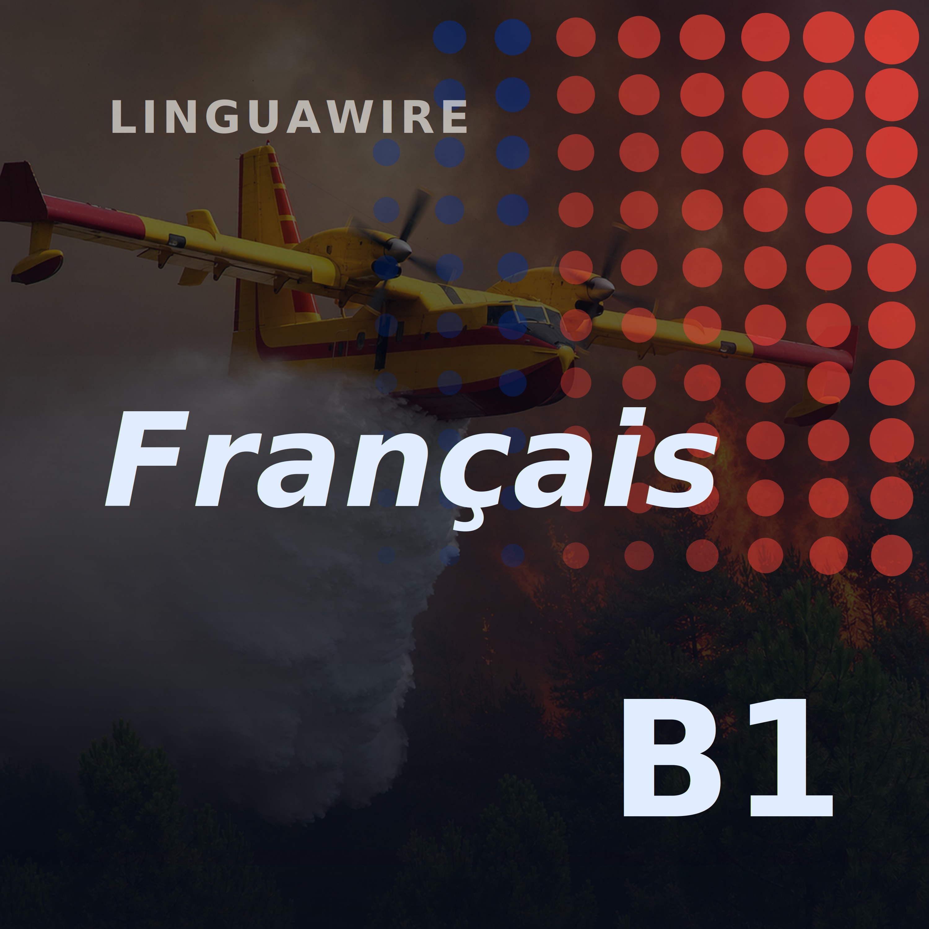 B1 French News | Hectares Burn as Fire Near Paris Spreads episode artwork