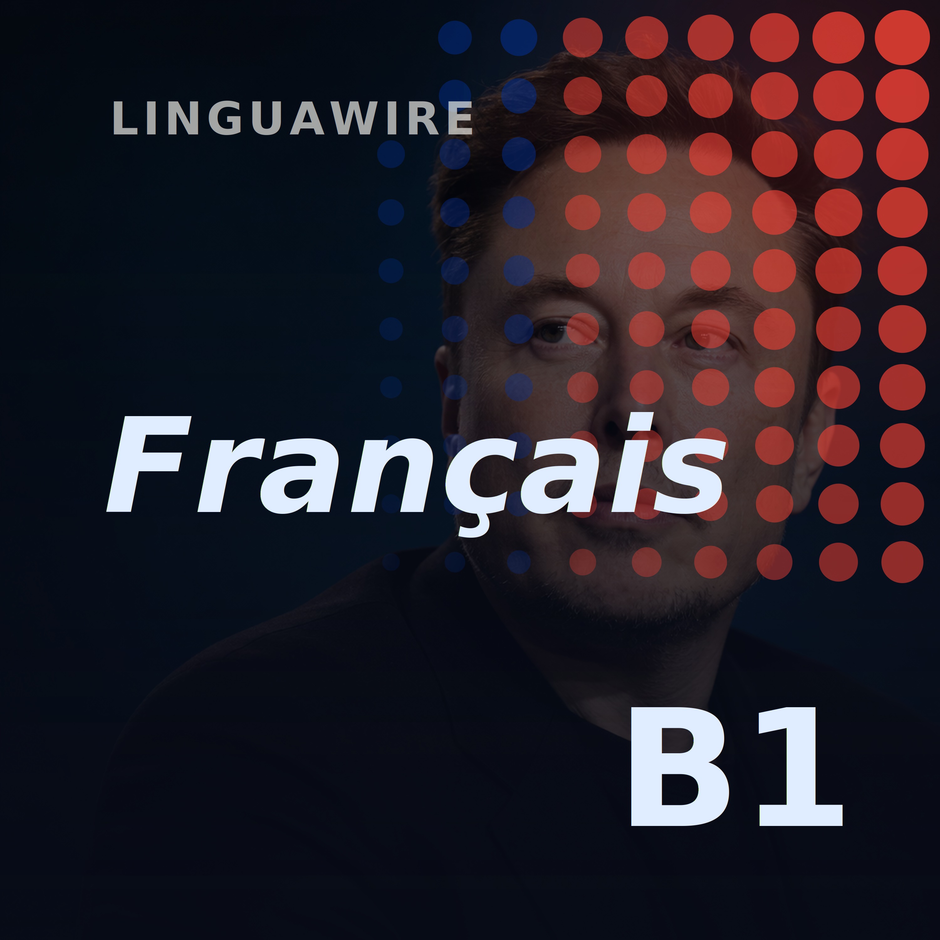B1 French News | Elon Musk Says to Enjoy the AI Ride episode artwork