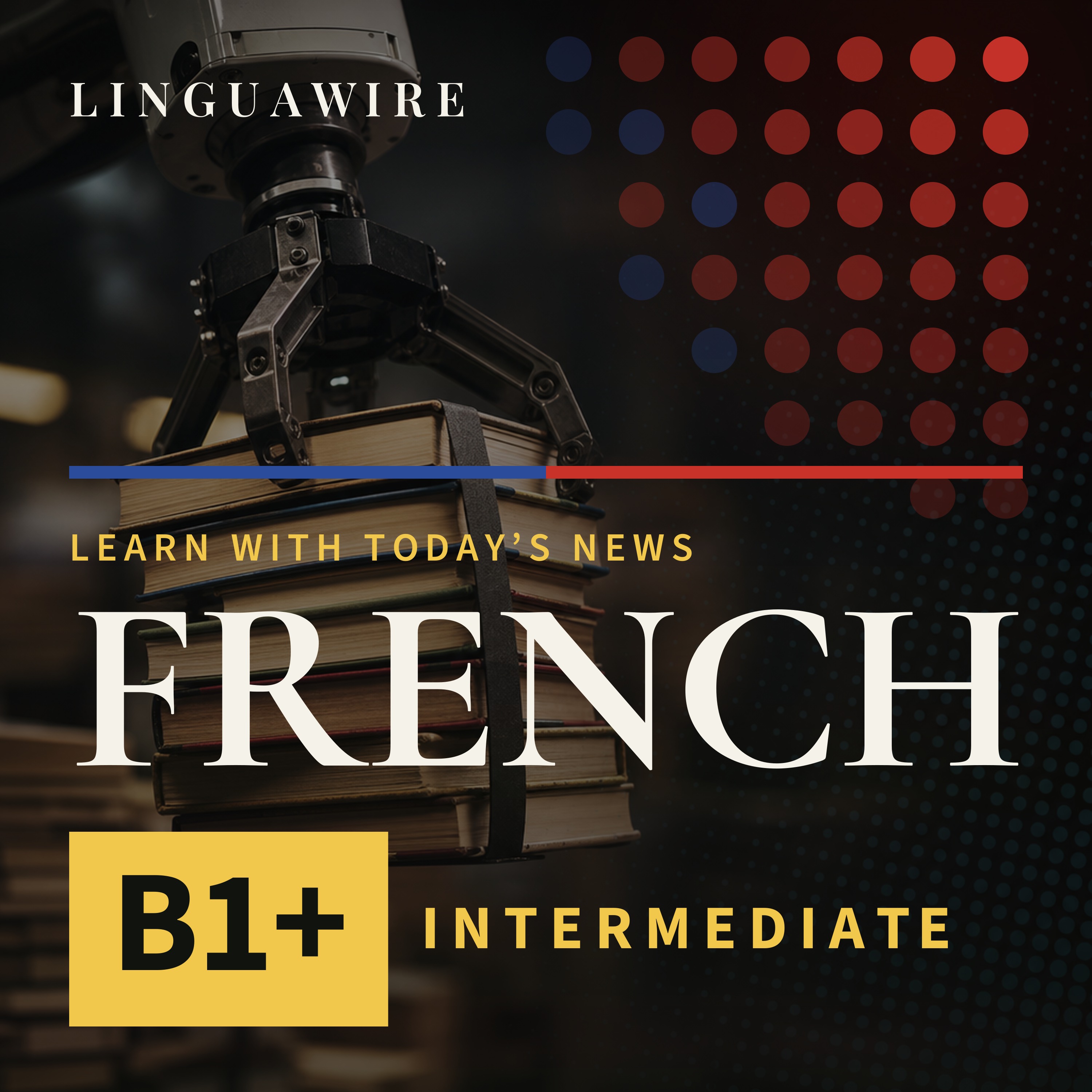 B1 French News | Why Are Secondhand Books Selling in Bulk? episode artwork