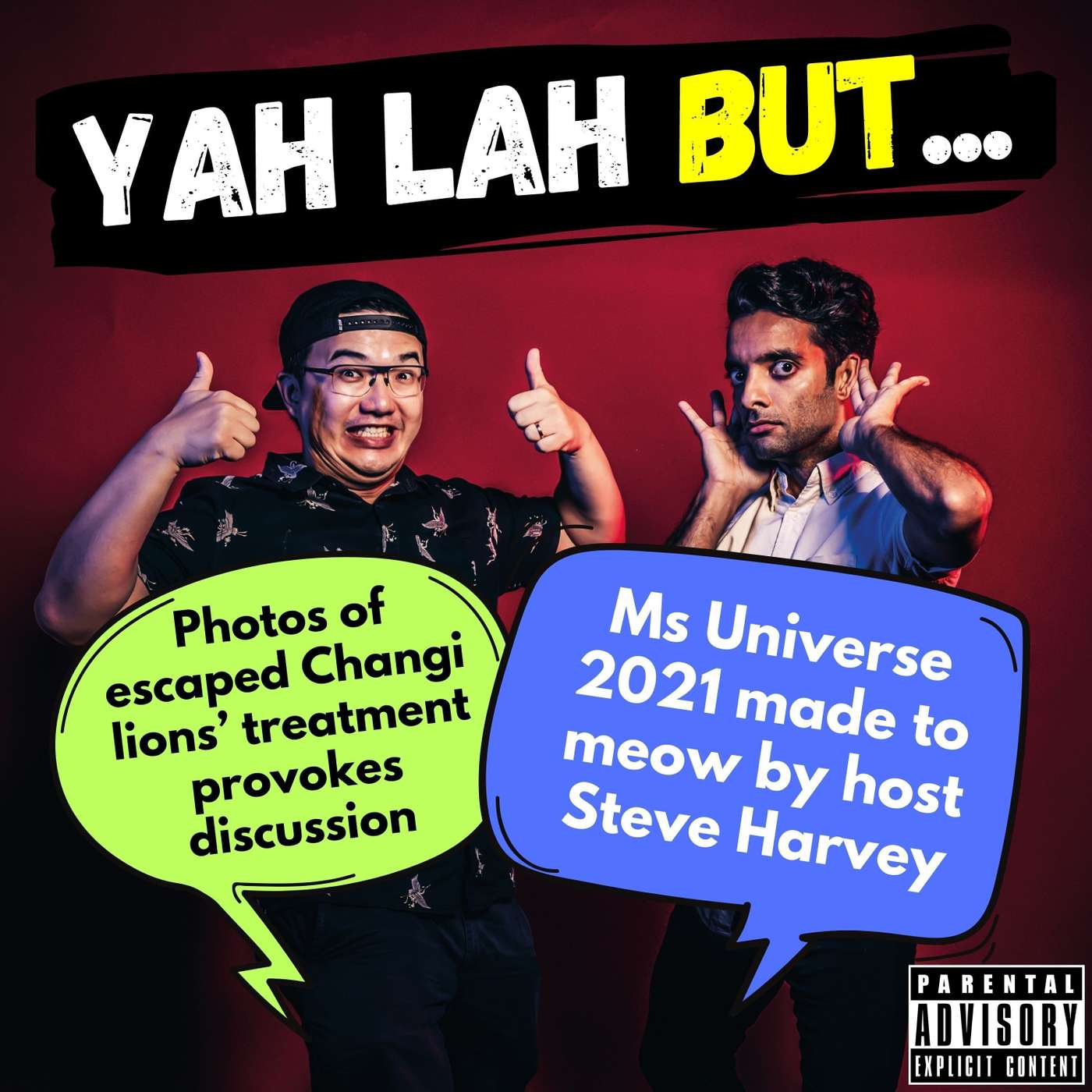 #244 - Photos of escaped Changi lions’ treatment provokes discussion & Ms Universe 2021 made to meow by host Steve Harvey episode artwork