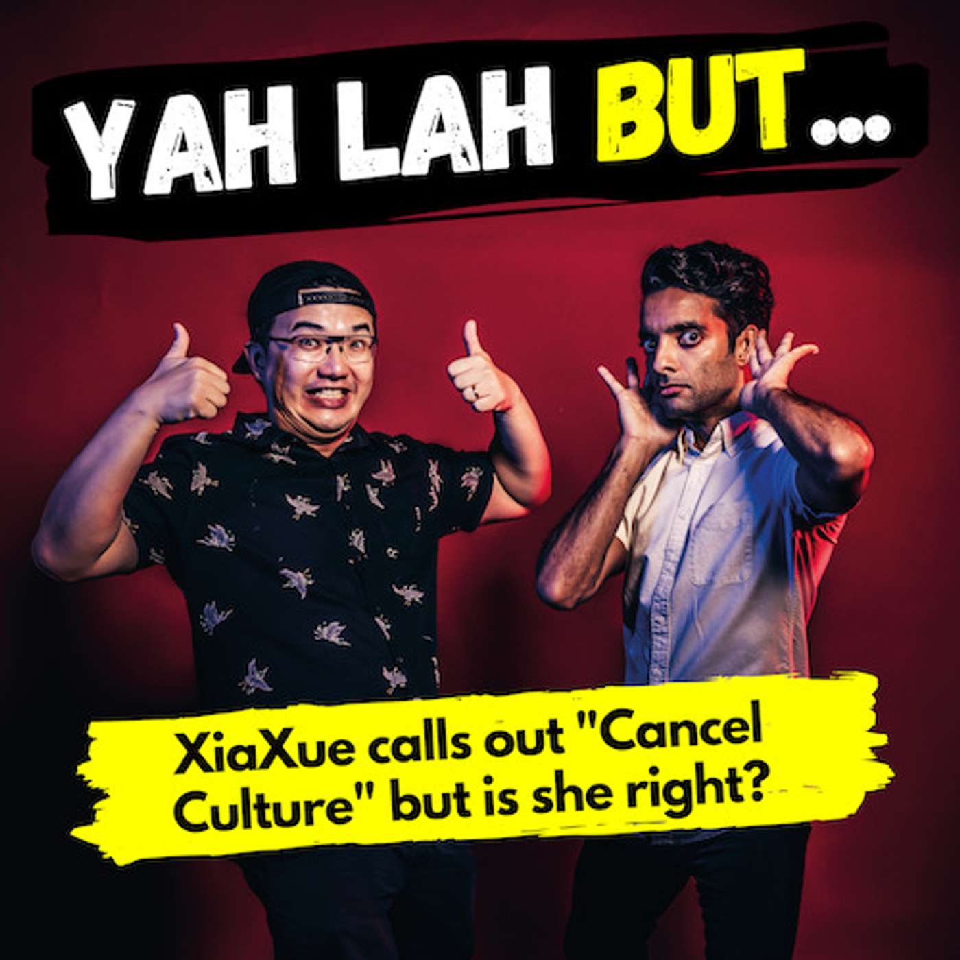 YLB #73 - XiaXue calls out “cancel culture”, but does she have a point? episode artwork