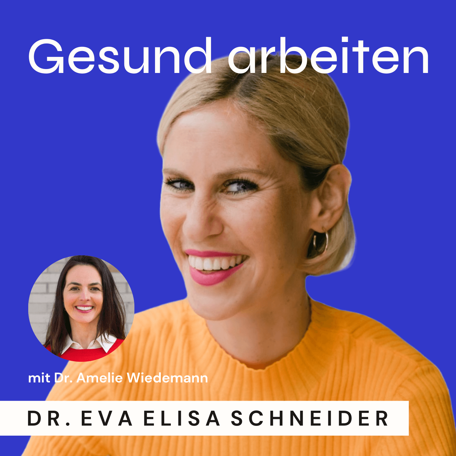 Mitarbeiterbefragungen: Wie wir mental health Daten sexy machen können. Mit Dr. Amelie Wiedemann episode artwork