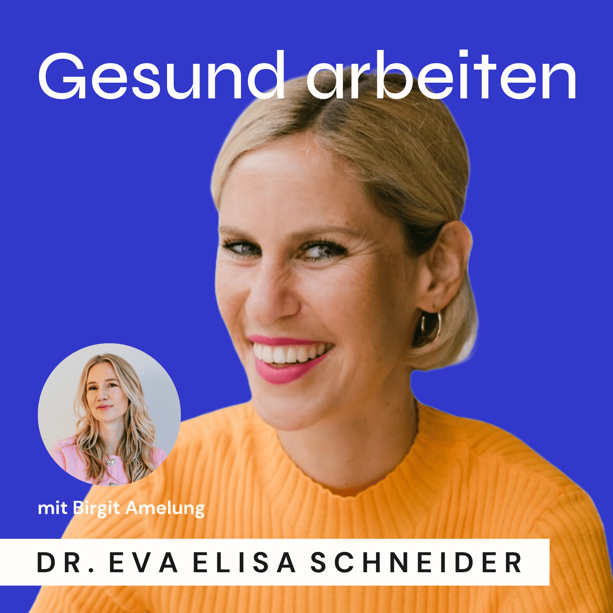 Wie führt man ein volles Leben, das sich richtig gut anfühlt? Mit Birgit Amelung episode artwork
