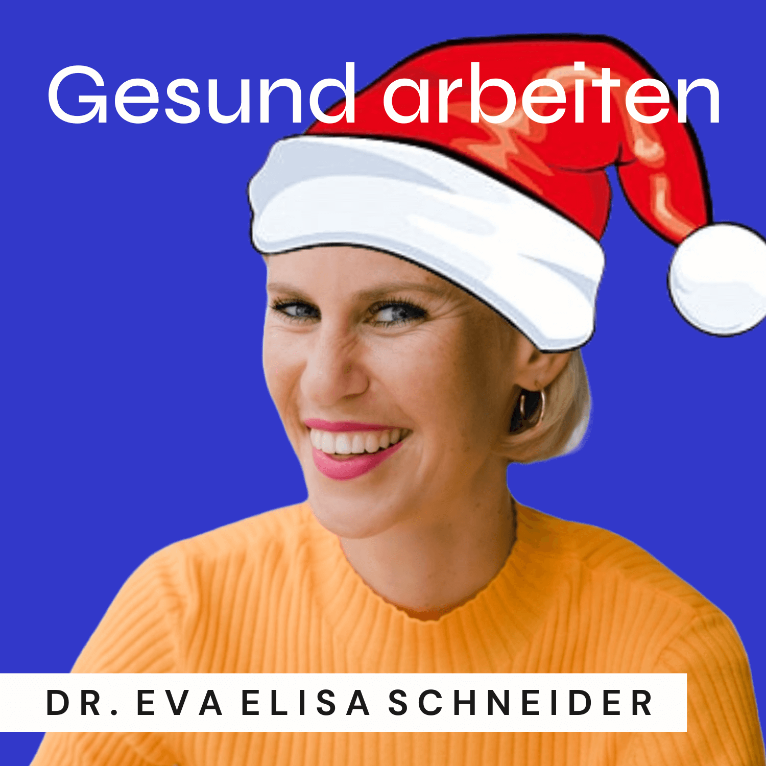 Weihnachten ohne Stress & Streit episode artwork