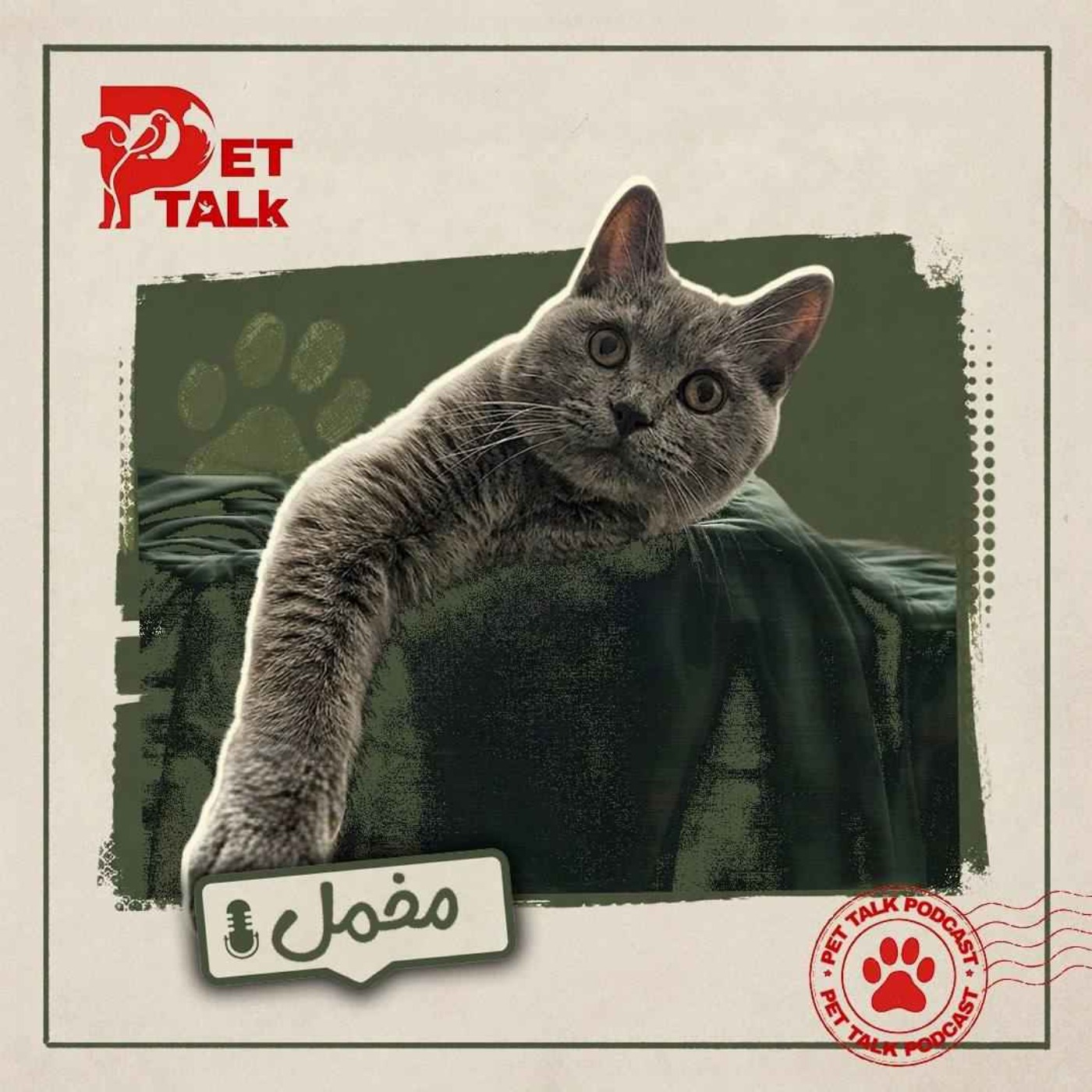 پت تاک | مخمل توو خونه مسعودینا