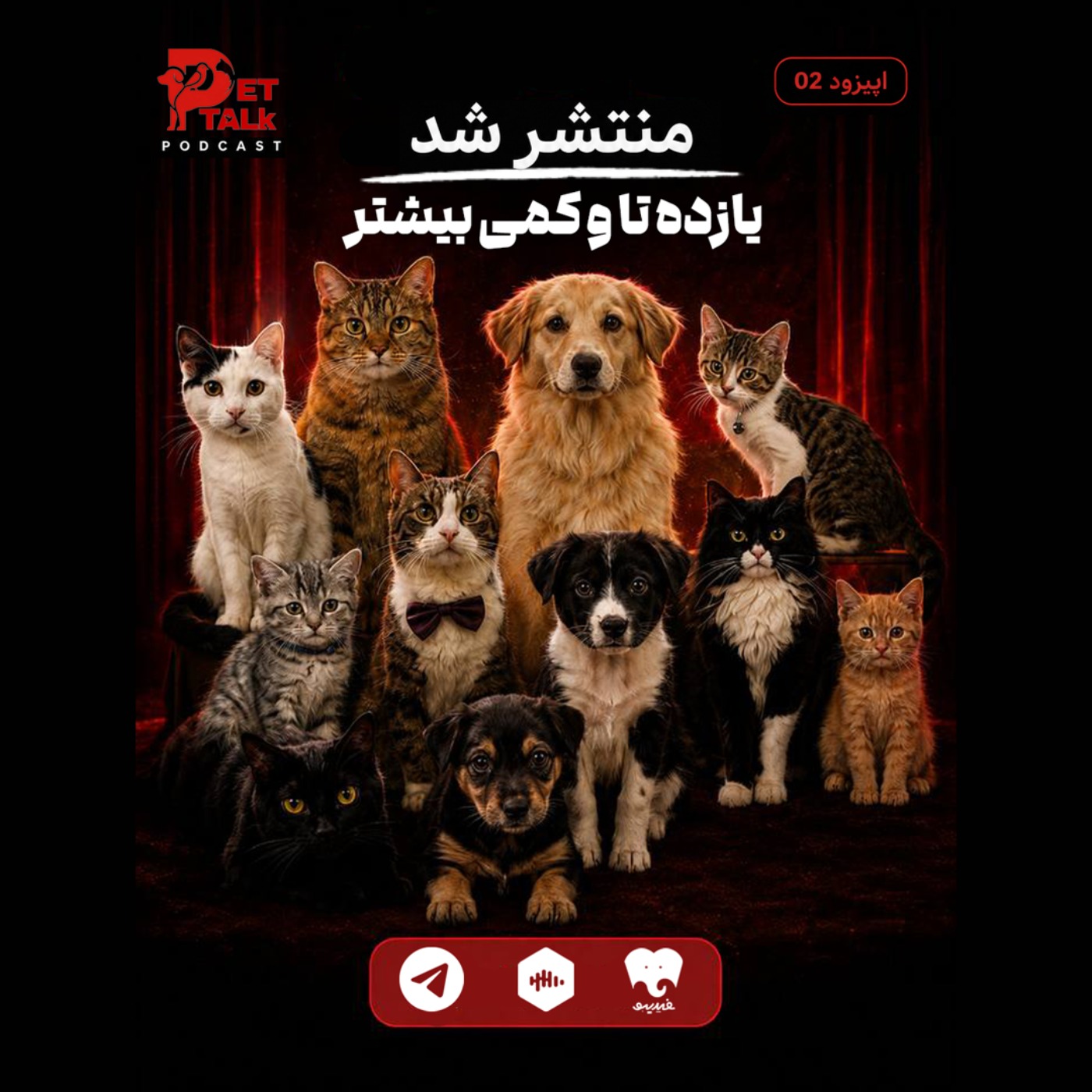 پت تاک | یازده تا و کمی بیشتر