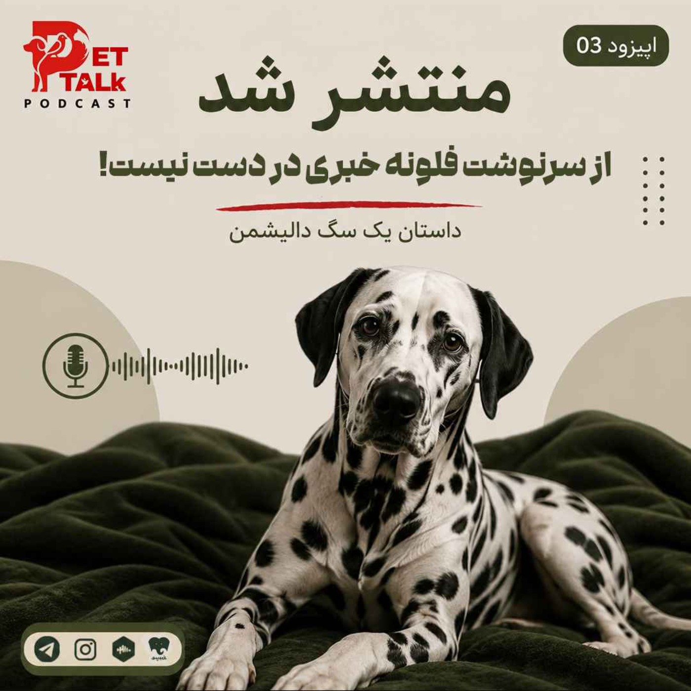 از سرنوشت فلونه خبری در دست نیست | Pet Talk