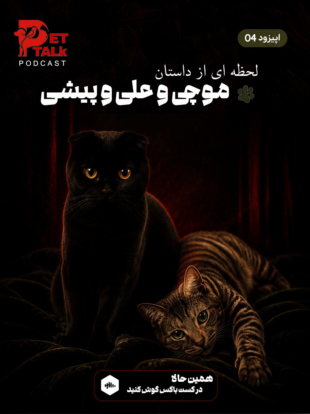 پت تاک | موچی و علی و پیشی