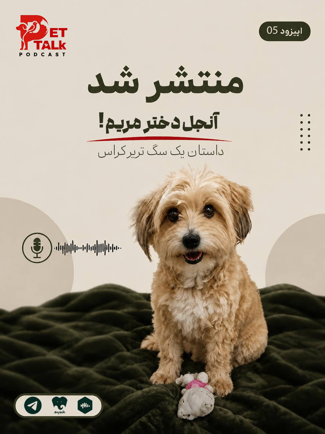 پت تاک | آنجل دختر مریم