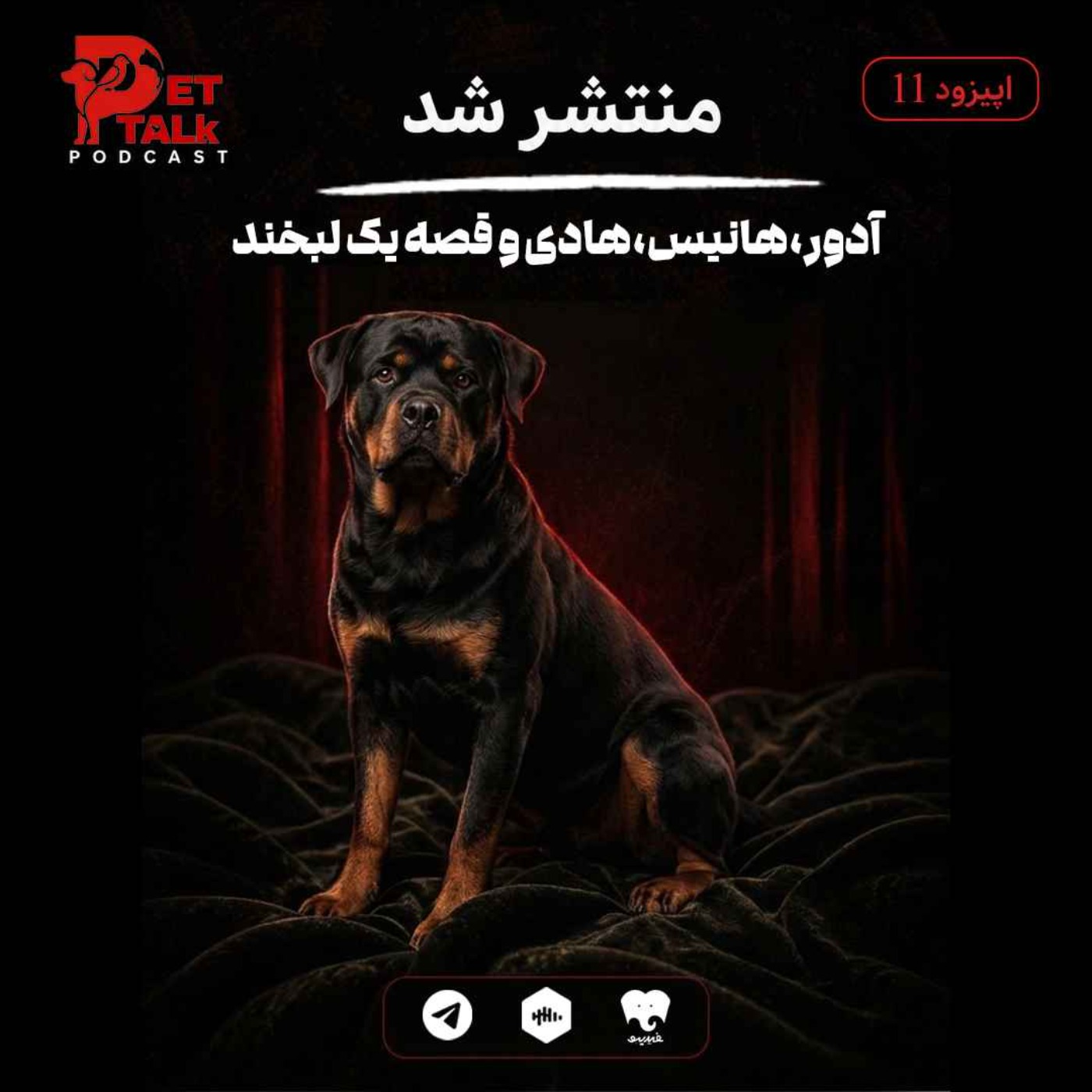 پت تاک | آدور،هانیس،هادی و قصه یک لبخند episode artwork
