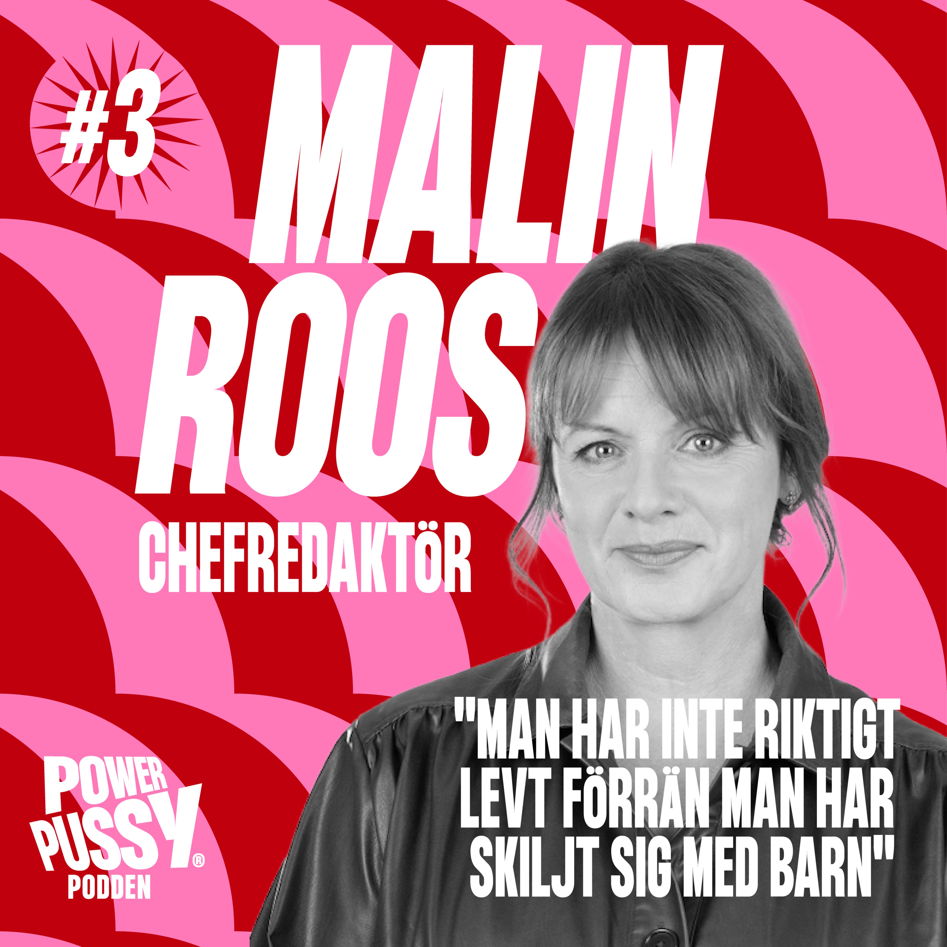 3. Malin Roos – "Man har inte riktigt levt förrän man har skiljt sig med barn" episode artwork