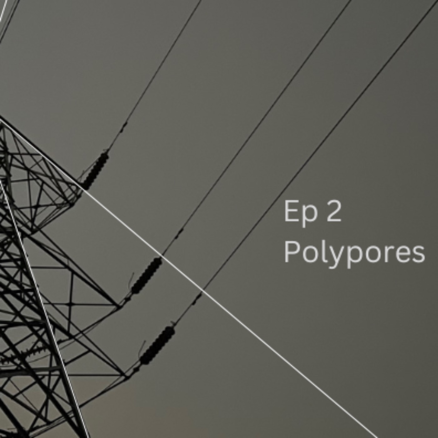 Polypores episode artwork