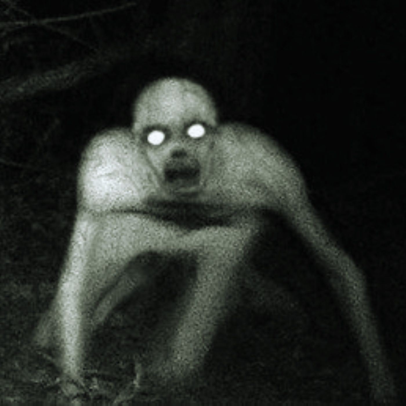"La Bestia del Bosque" | Skinwalker Creepypasta episode artwork