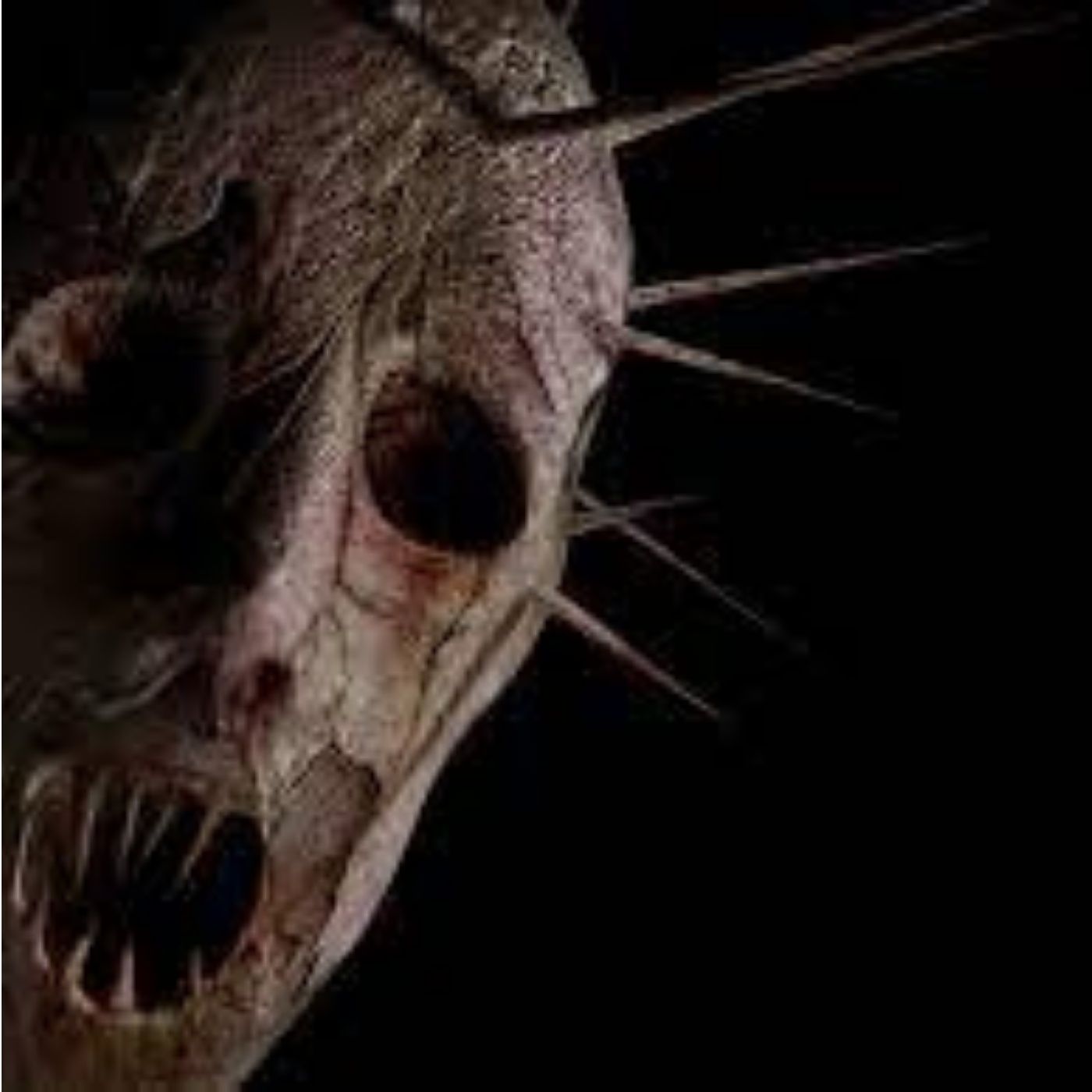Por qué te despiertas a las 3 de la madrugada? | 4 Historias de terror episode artwork