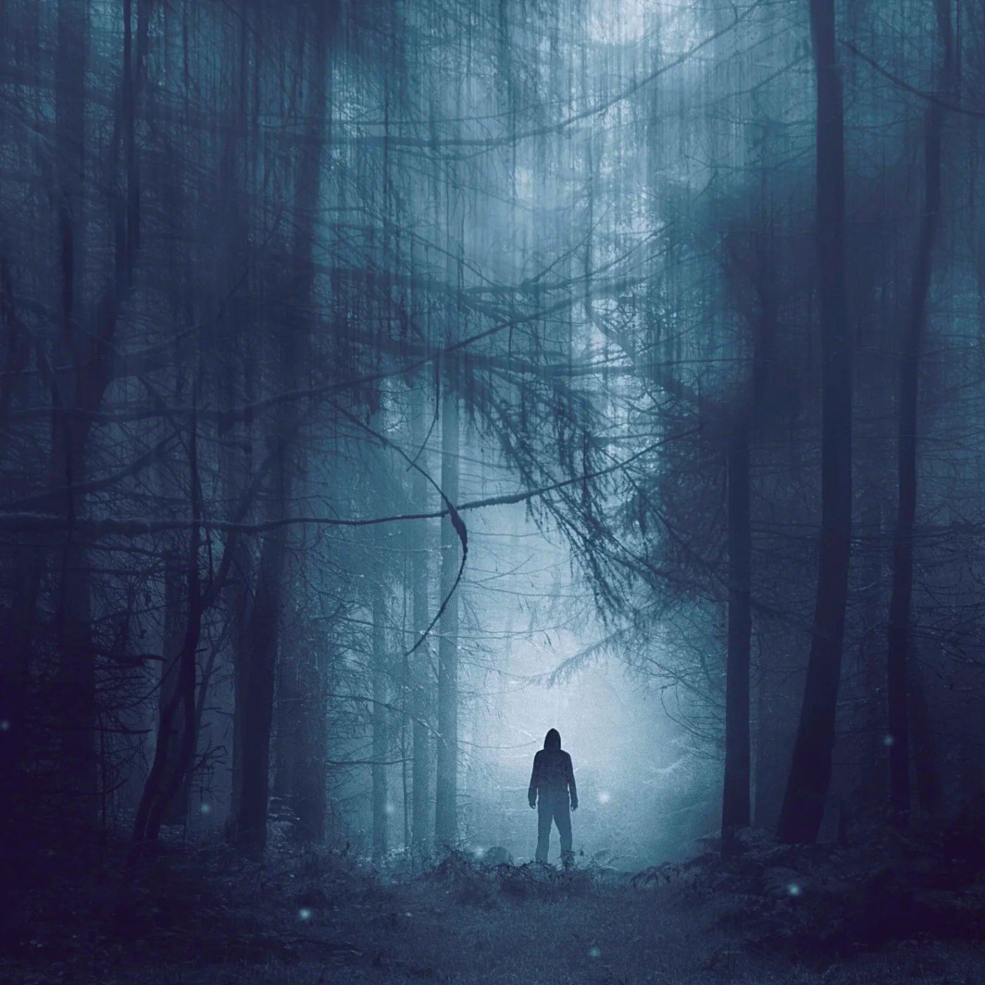 DEJA DE SEGUIRME POR FAVOR | EXPERIENCIAS CONTADAS POR UN GUARDABOSQUES episode artwork
