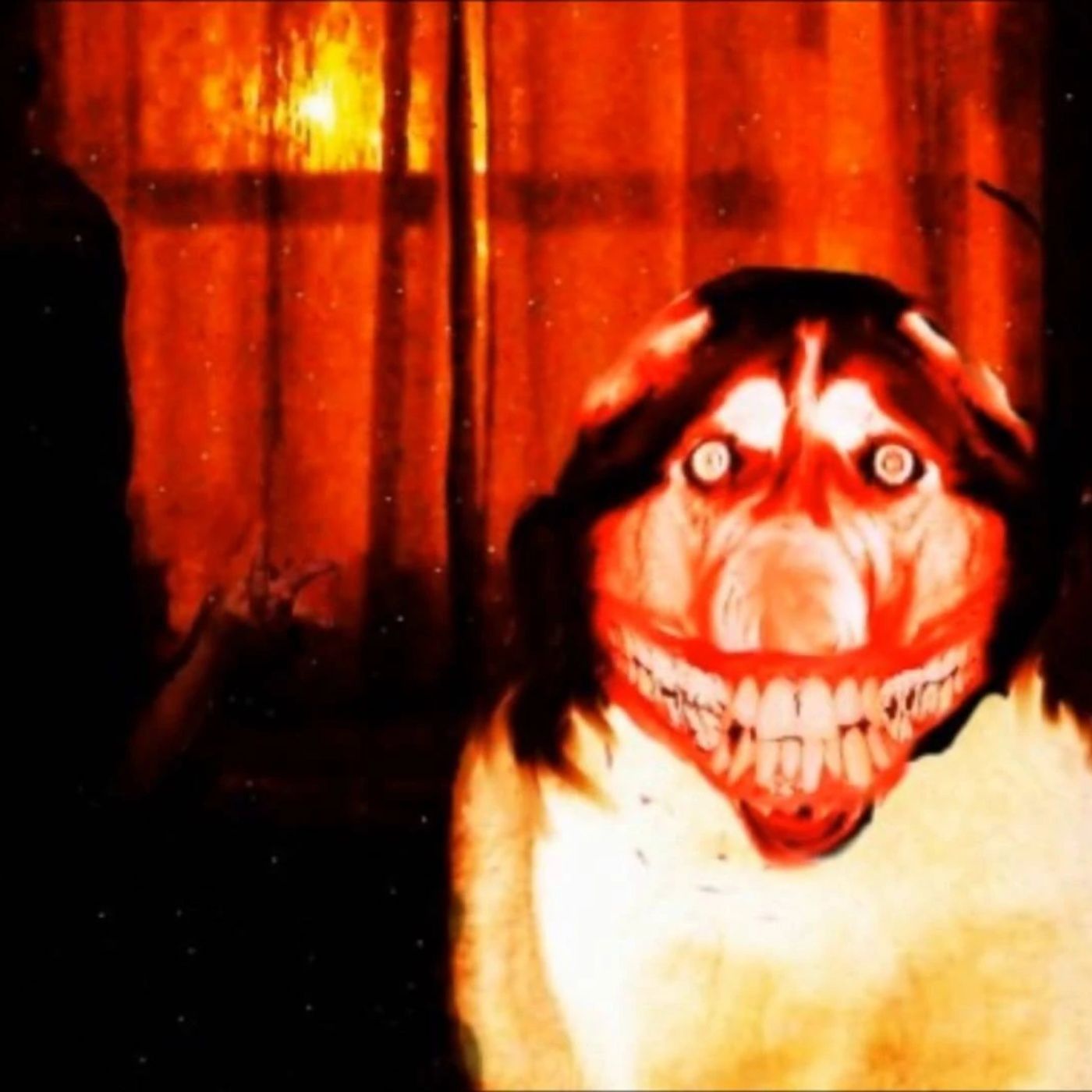 LOS PERROS SABEN QUE ELLOS NO SON HUMANOS episode artwork