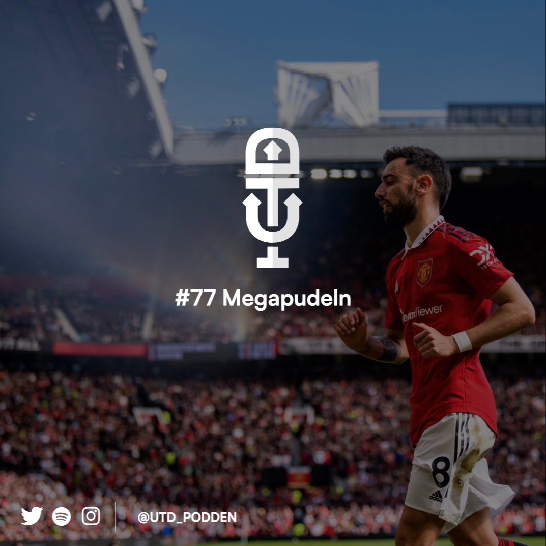 #77 Megapudeln episode artwork