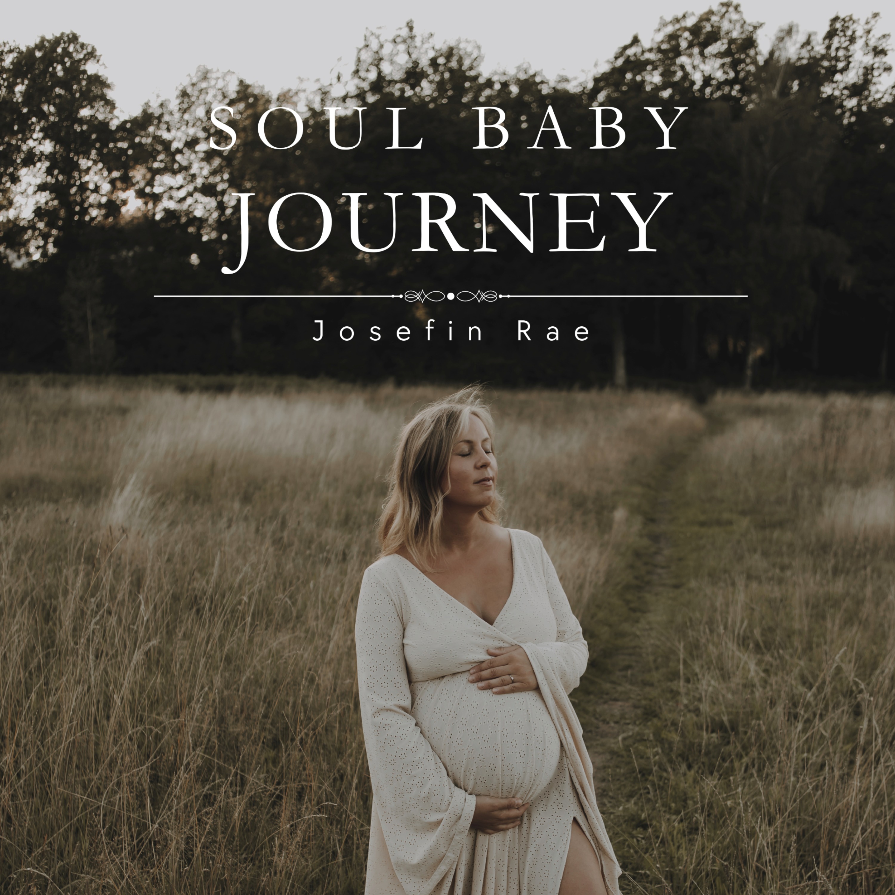 Soul Baby Journey