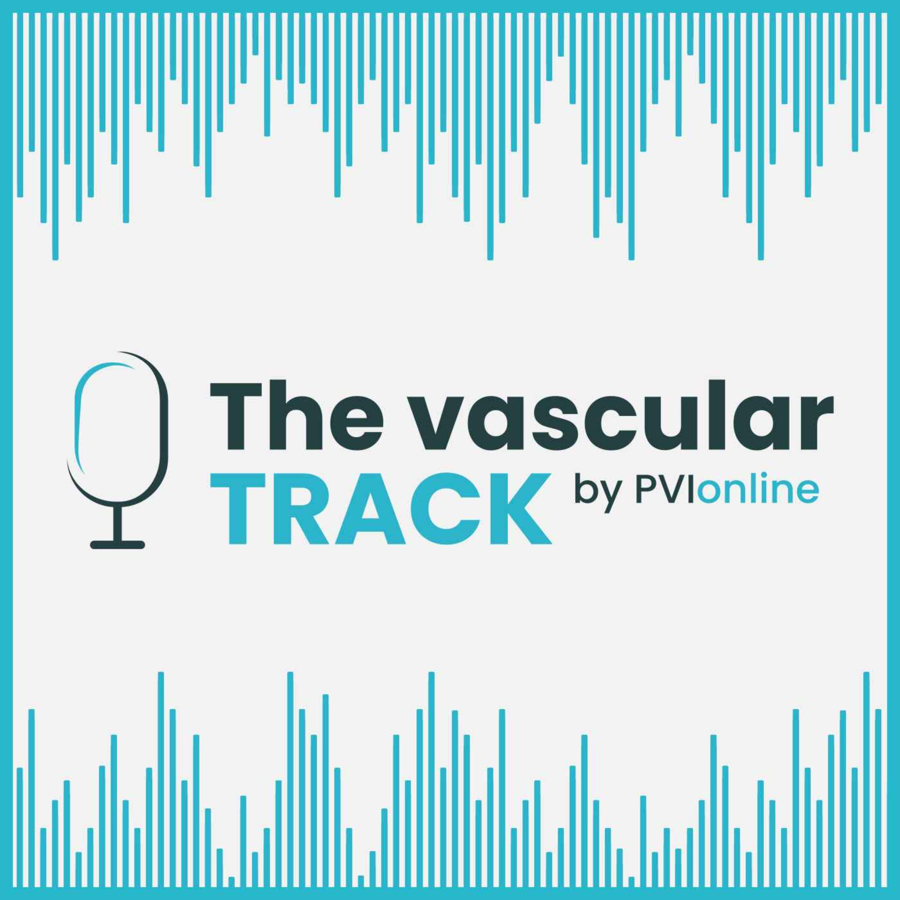 The Vascular Track, by PVI online