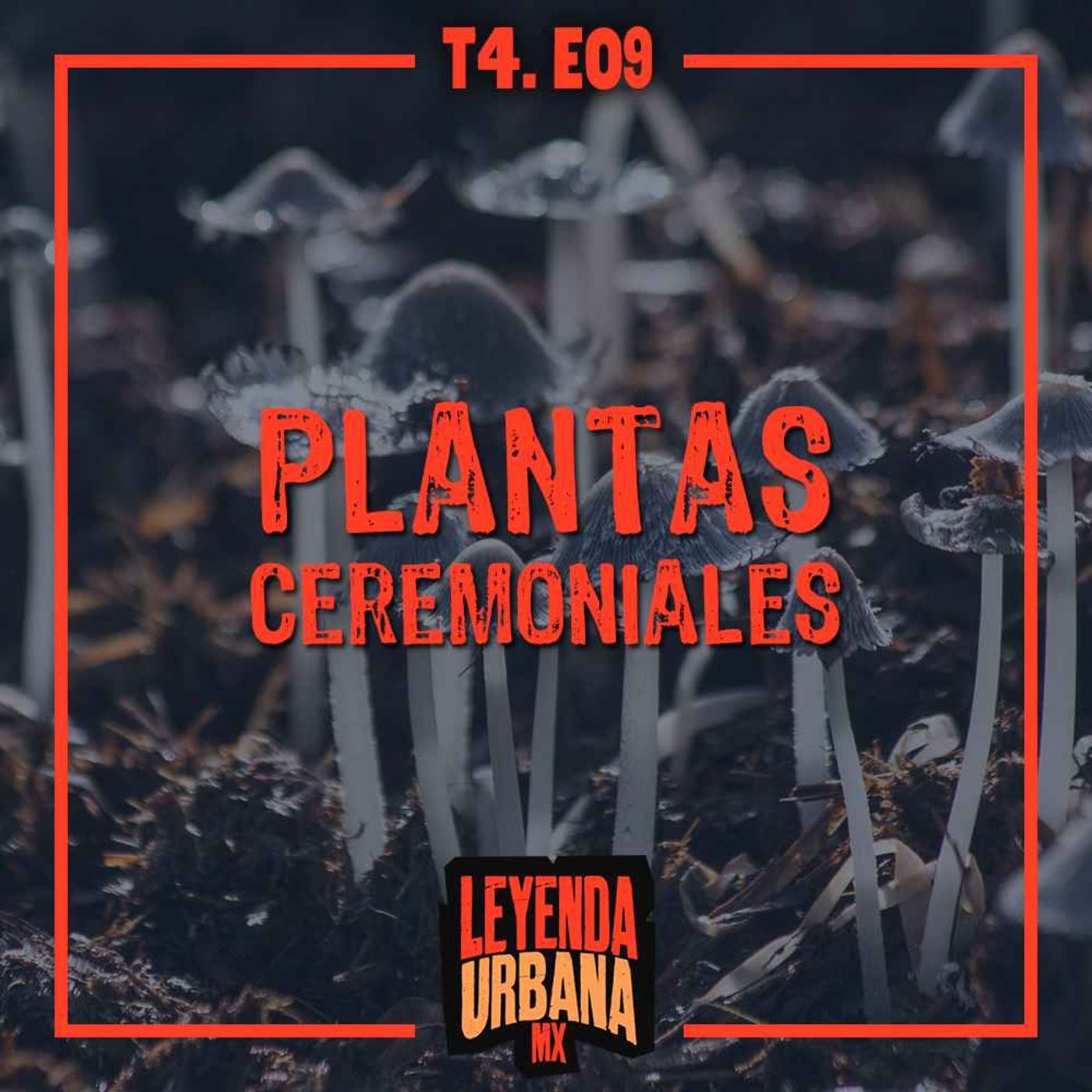 Portada de Leyenda Urbana MX