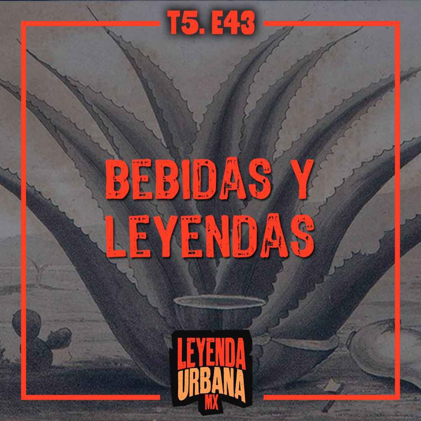 T5. E43: Mitos y Leyendas de las Bebidas Alcohólicas Mexicanas