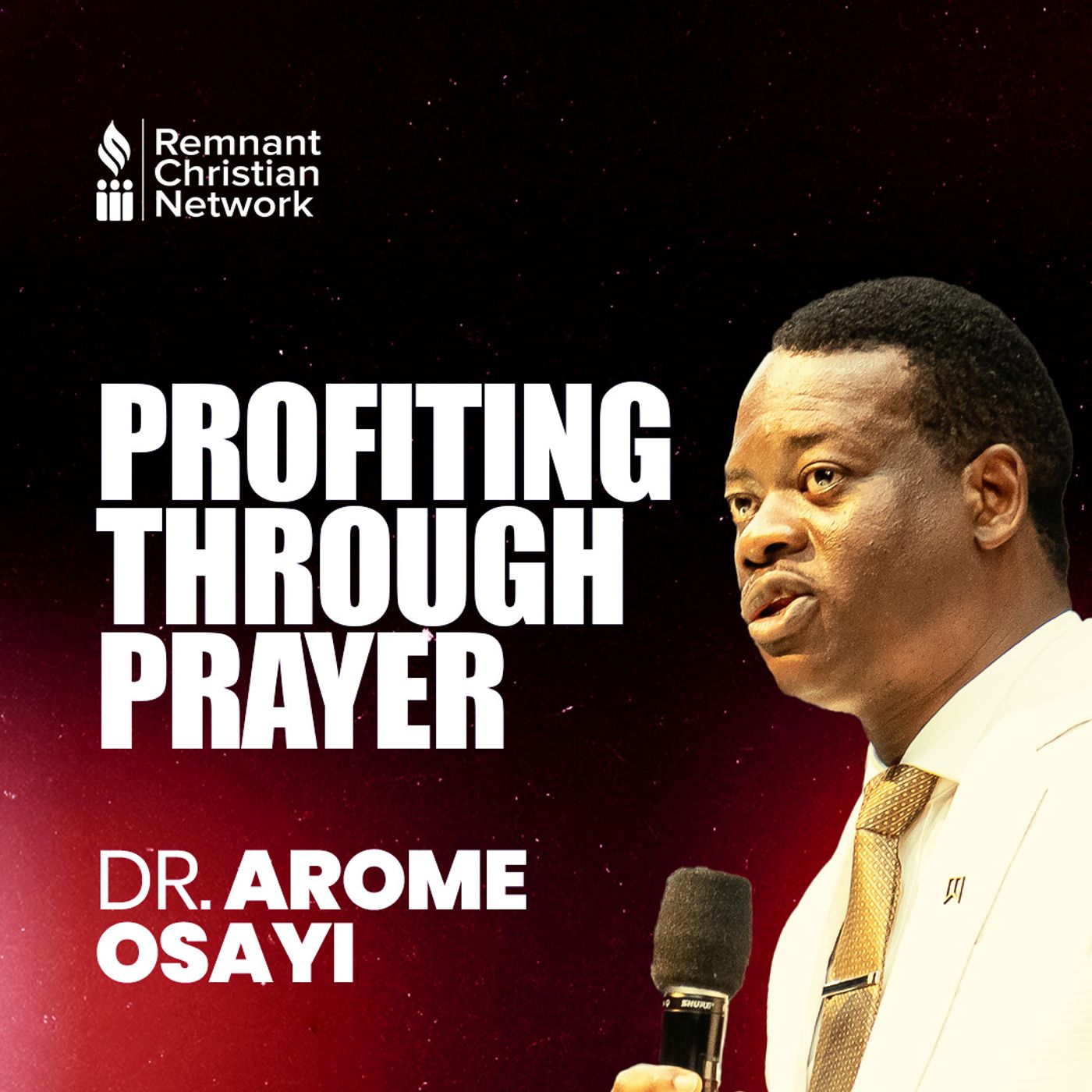 PROFITING THROUG  DR AROME OSAYI episode artwork