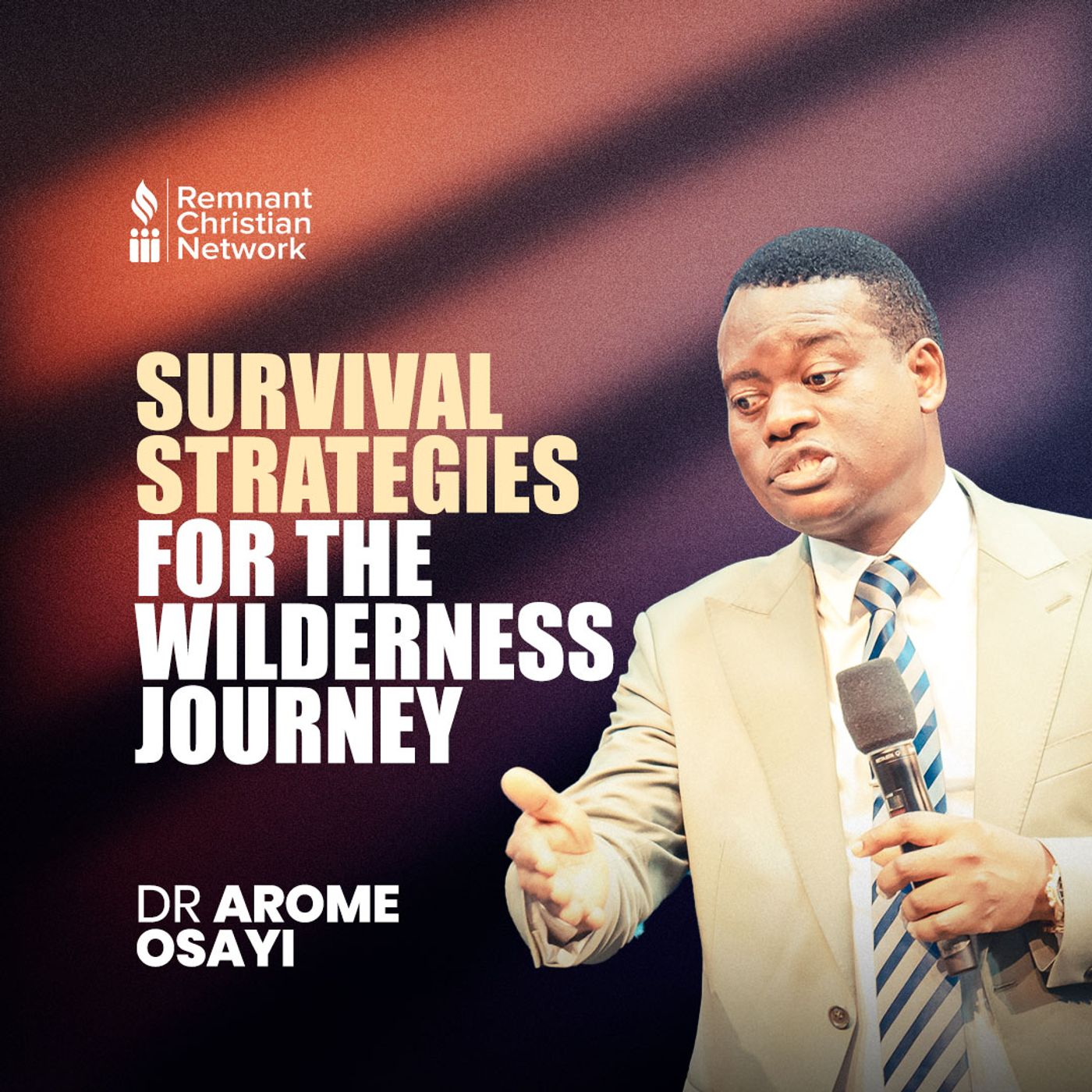 SURVIVAL STRATEGIES FOR THE WILDERNESS JOURNEY episode artwork