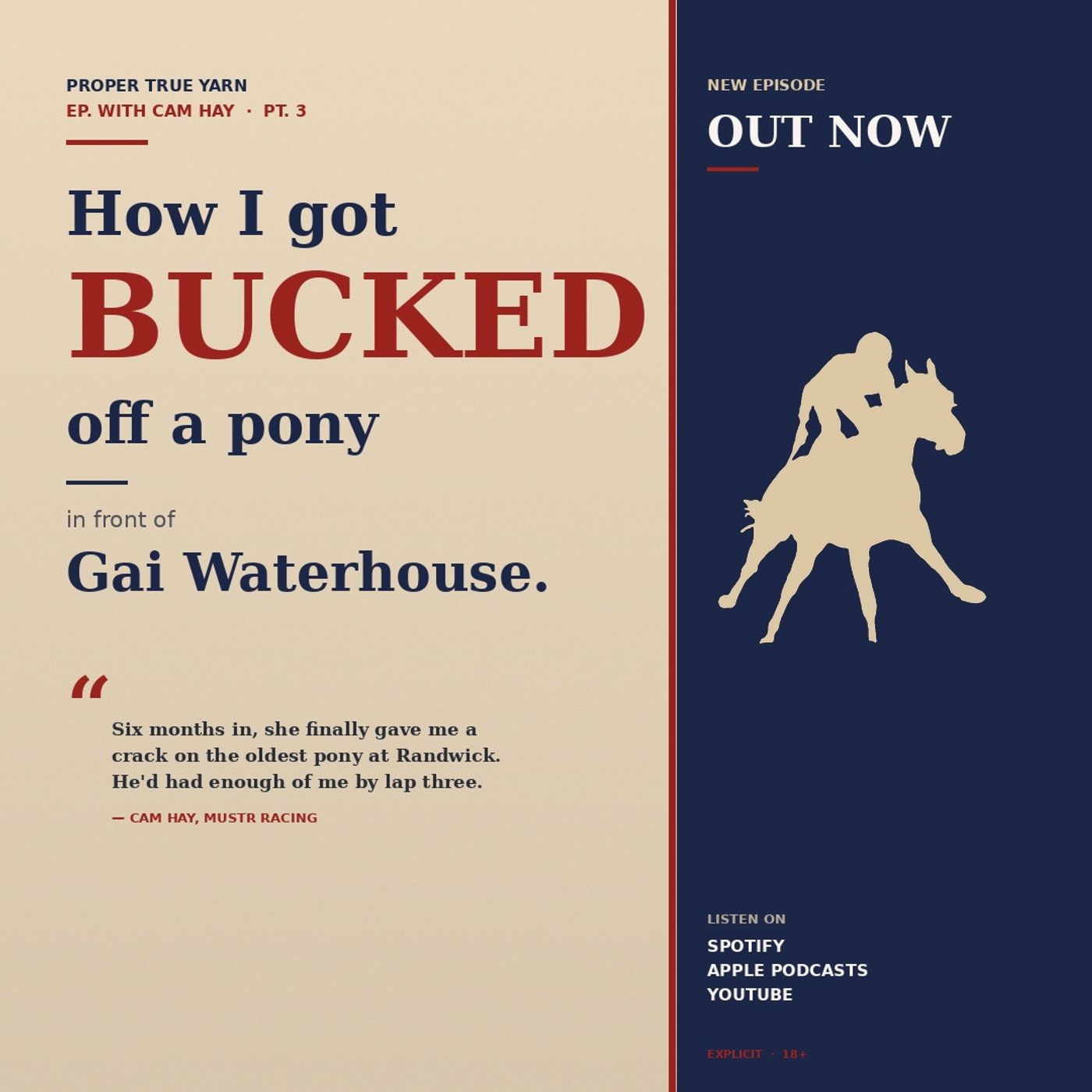 Cam Hay Got Bucked Off a Pony in Front of Gai Waterhouse