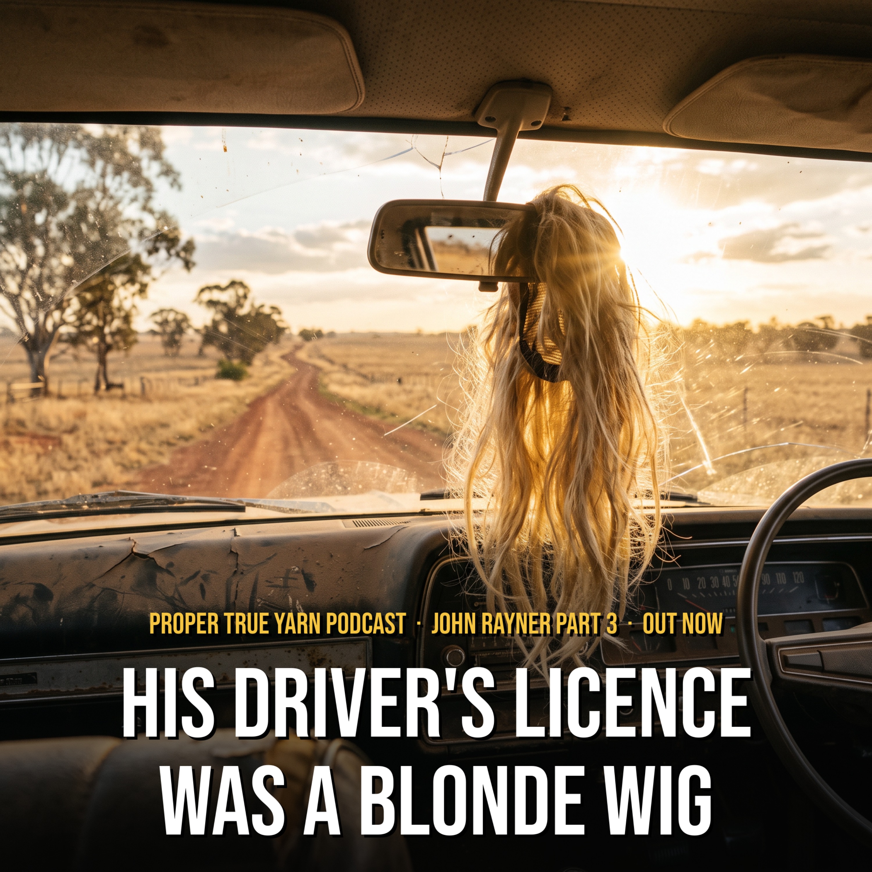 His Driver's Licence Was a Blonde Wig episode artwork