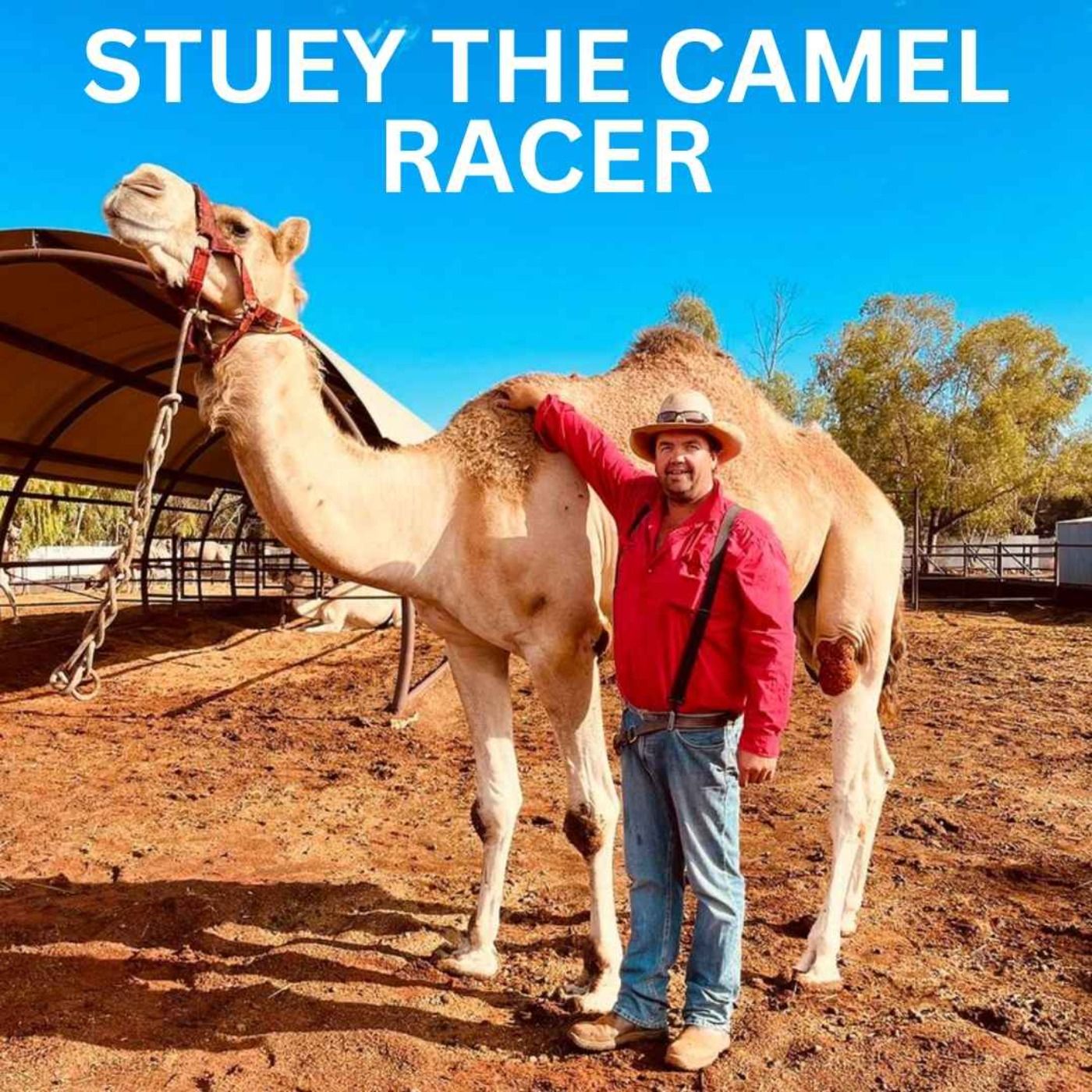 Stuey The Camel Racer episode artwork