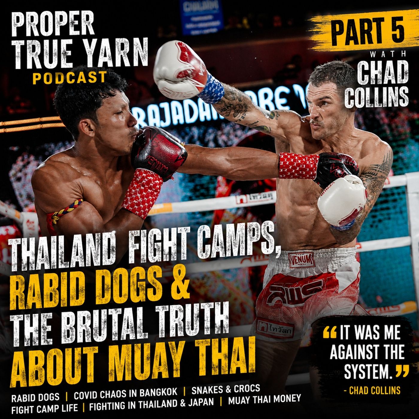 Thailand Fight Camps, Rabid Dogs & The Brutal Truth About Muay Thai