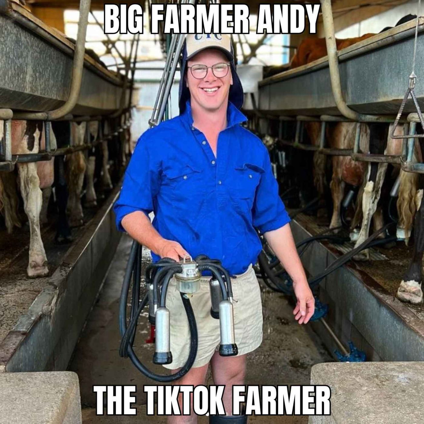 Big Farmer Andy The Tik Tok Farmer episode artwork