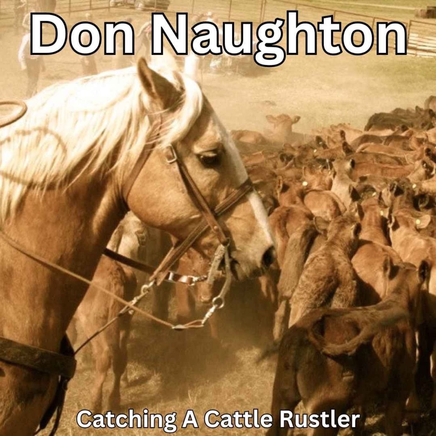 Catching A Cattle Rustler episode artwork