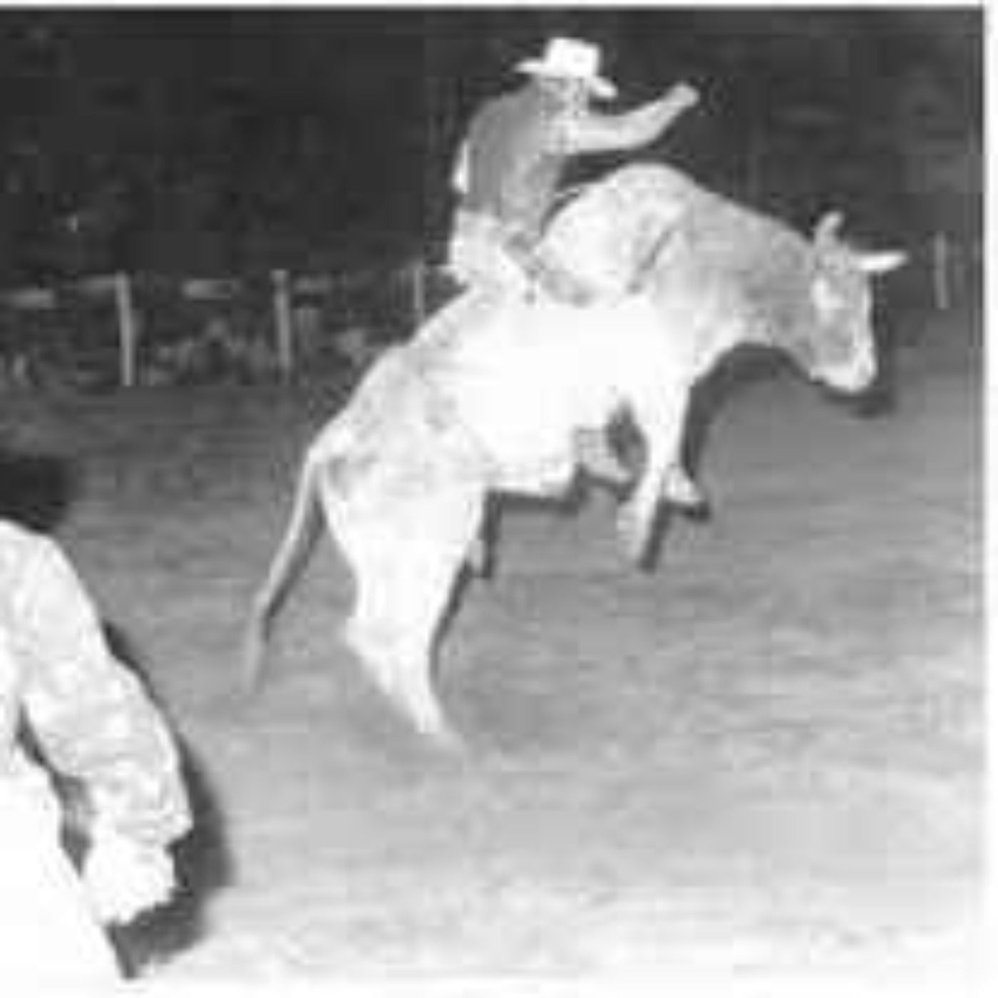 Riding Chainsaw The Eight Time Bull Of The Year episode artwork