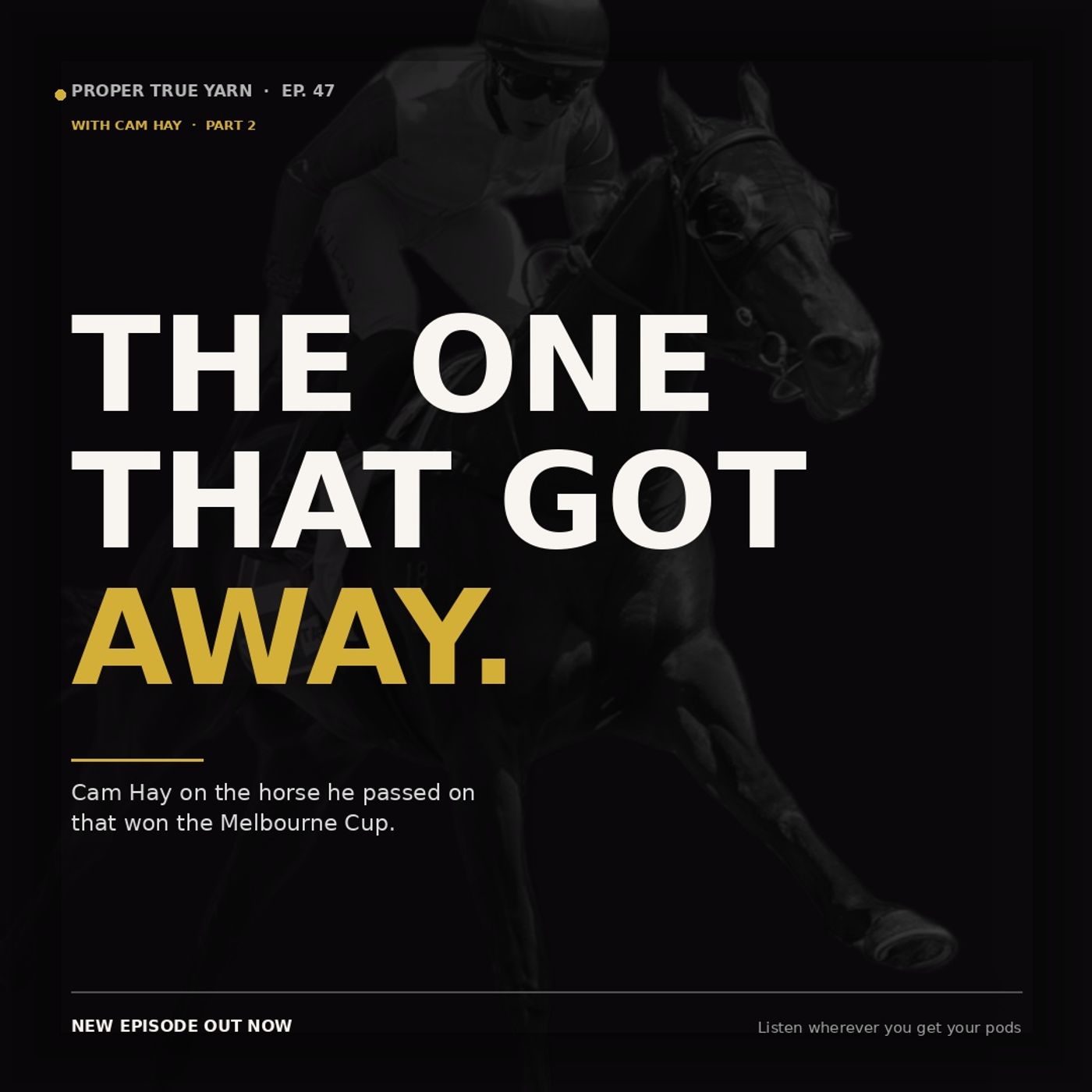 Picking Buckeye, Vetting Race Horses & the Half Yours Melbourne Cup Miss