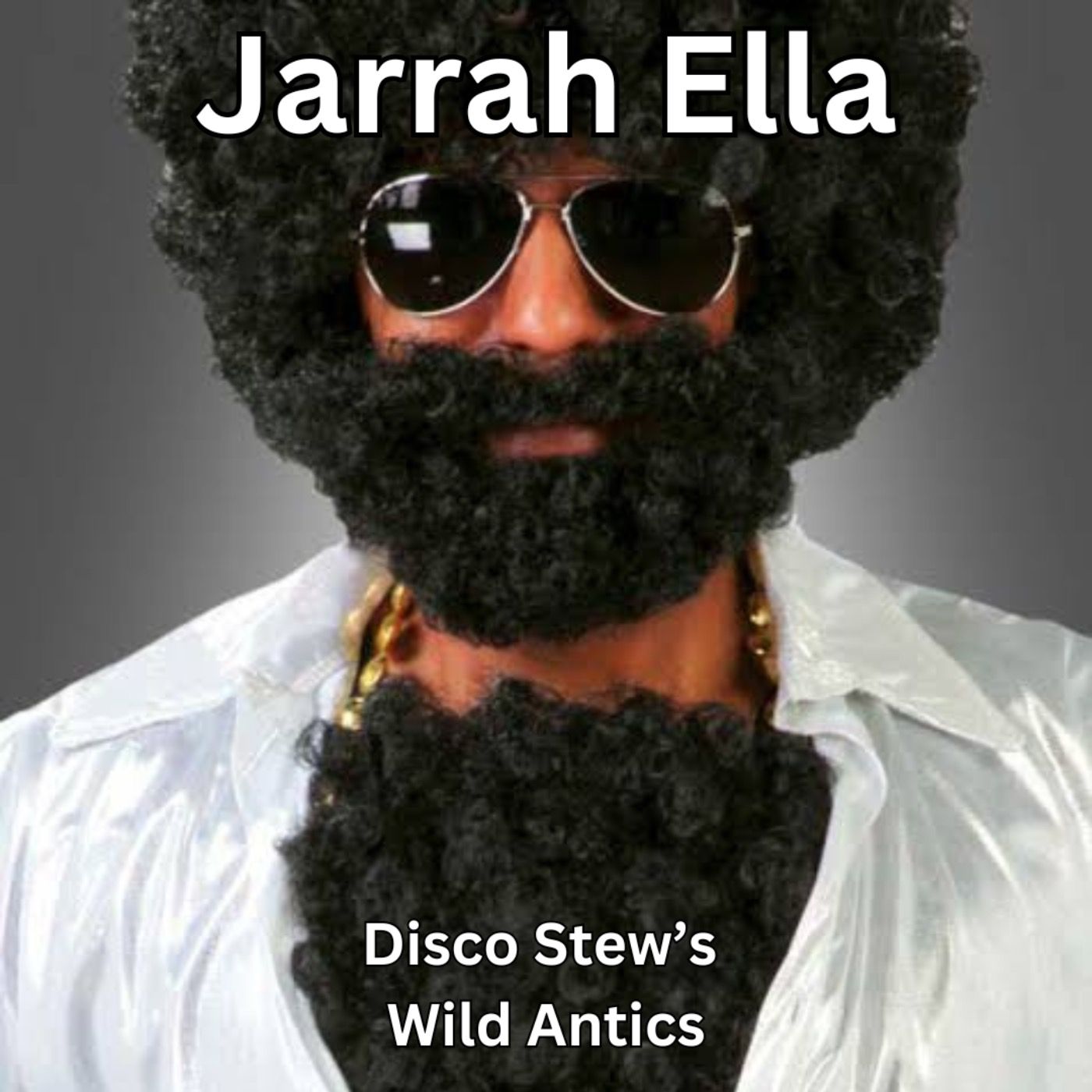 Disco Stew's Wild Antics episode artwork
