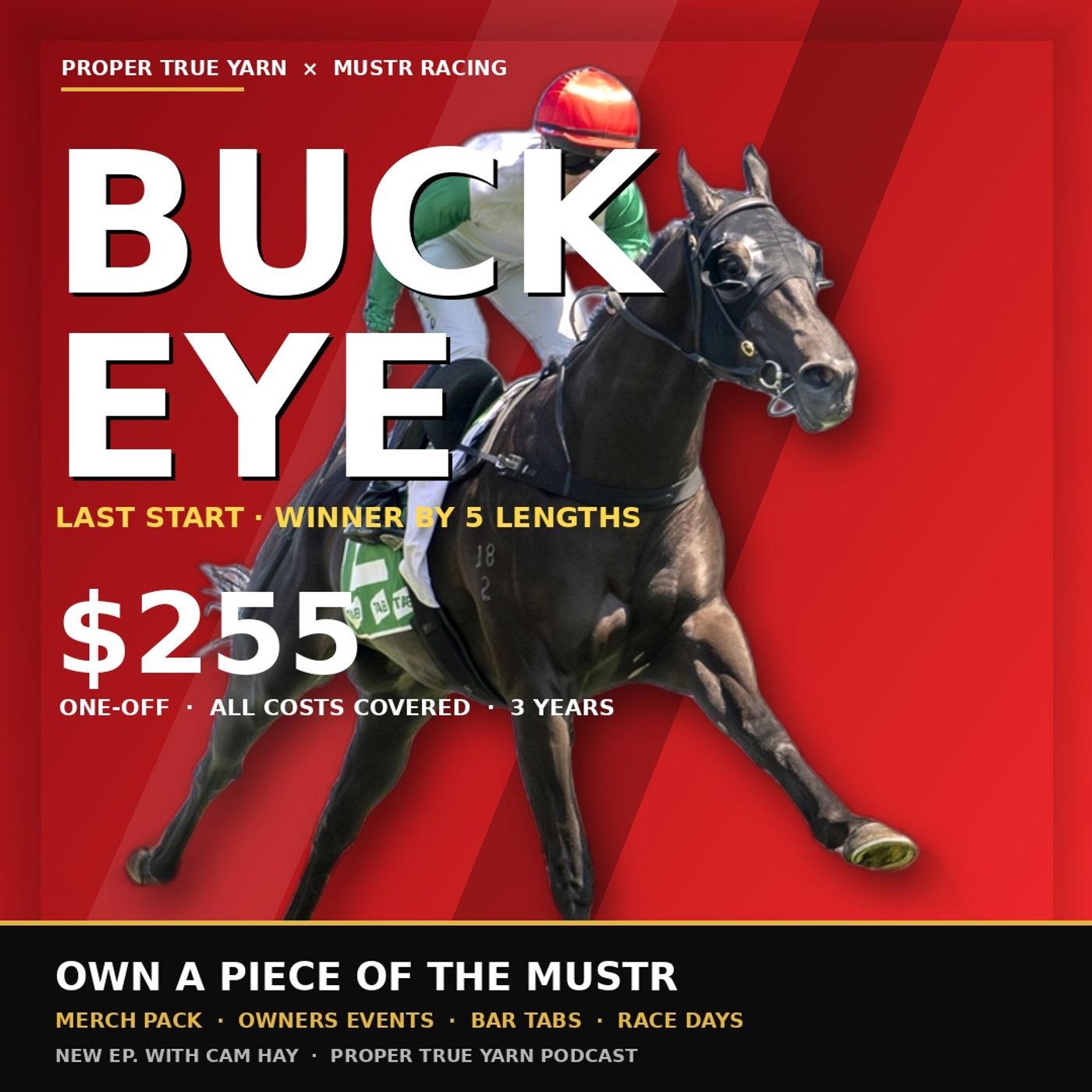 Mustr Racing, Race Horse Syndication & How to Own a Horse for $255