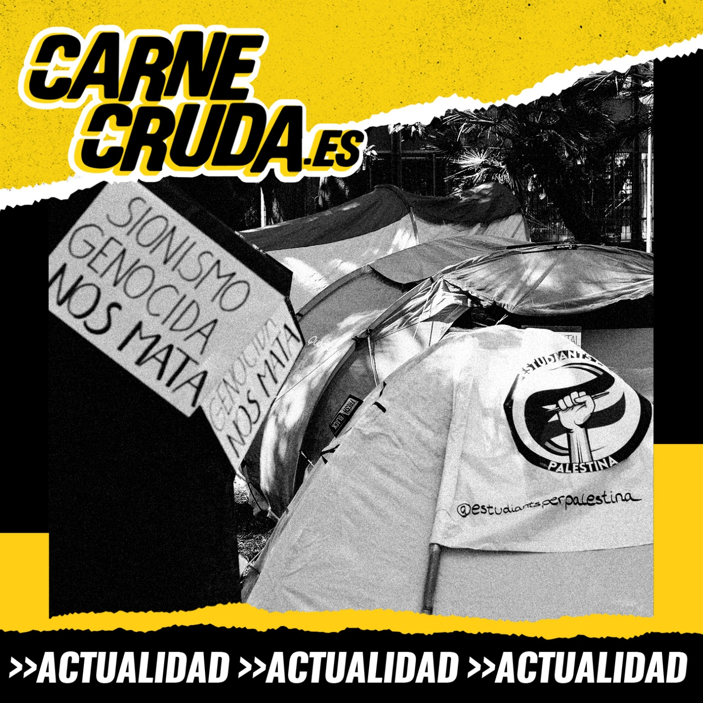 Portada de Carne Cruda - PROGRAMAS