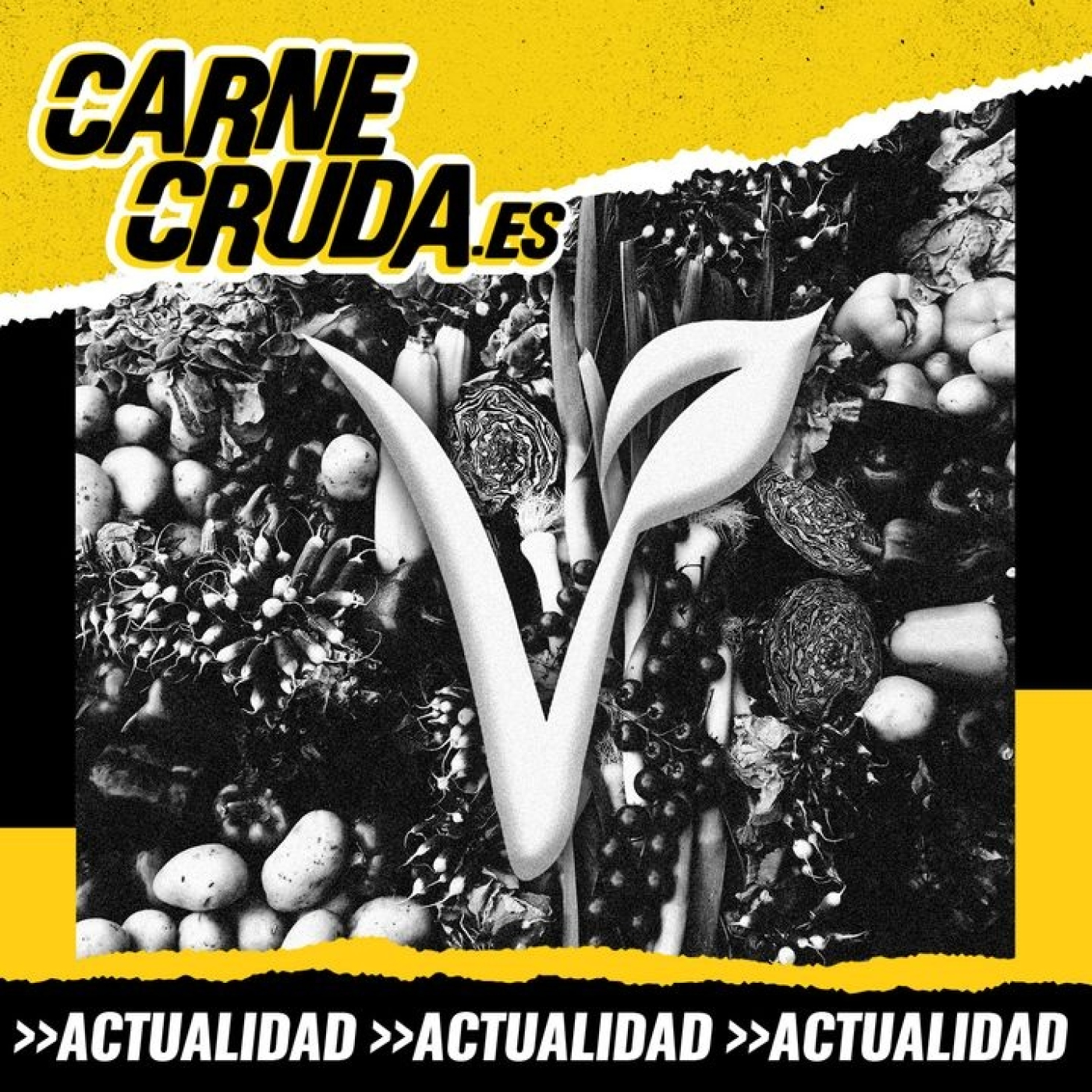 Portada de Carne Cruda - PROGRAMAS