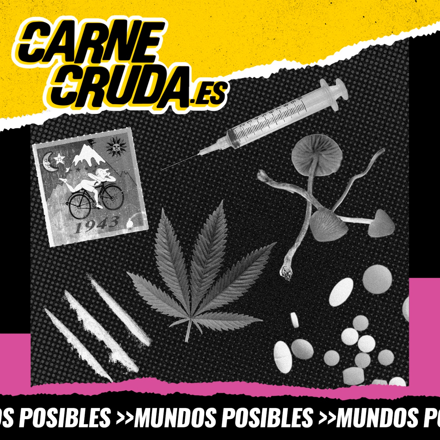 Portada de Carne Cruda - PROGRAMAS