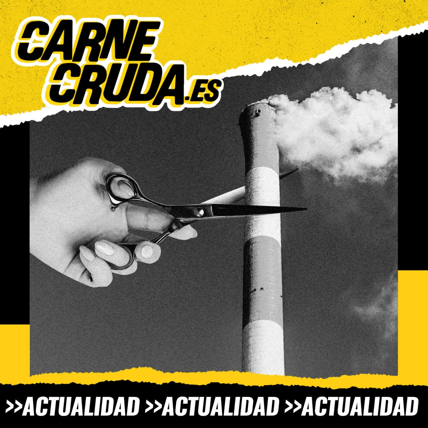 Portada de Carne Cruda - PROGRAMAS