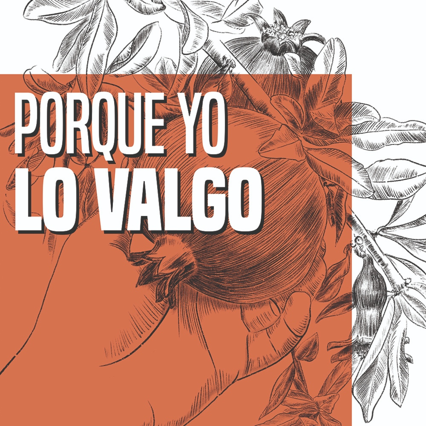 Portada de Carne Cruda - PROGRAMAS