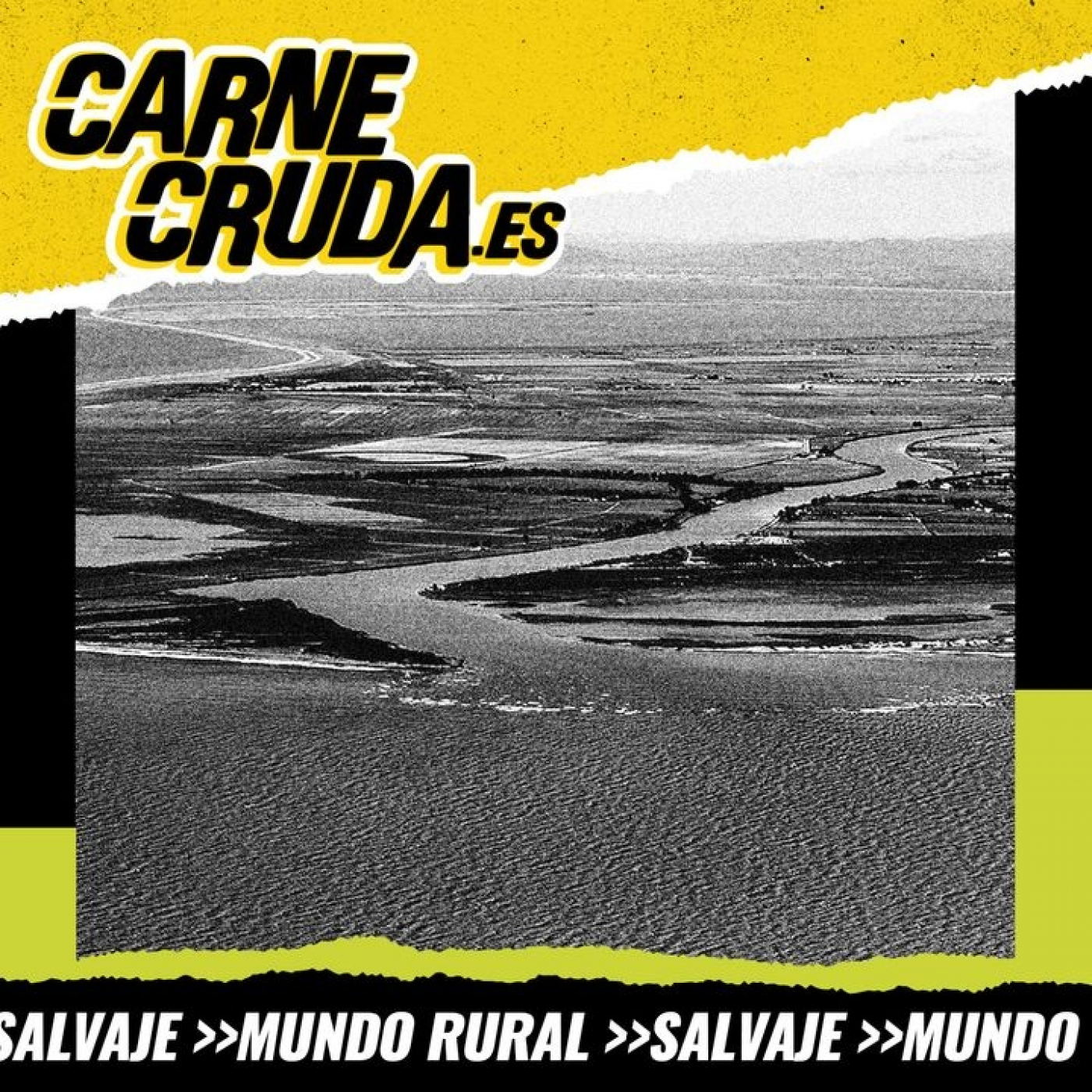 Portada de Carne Cruda - PROGRAMAS