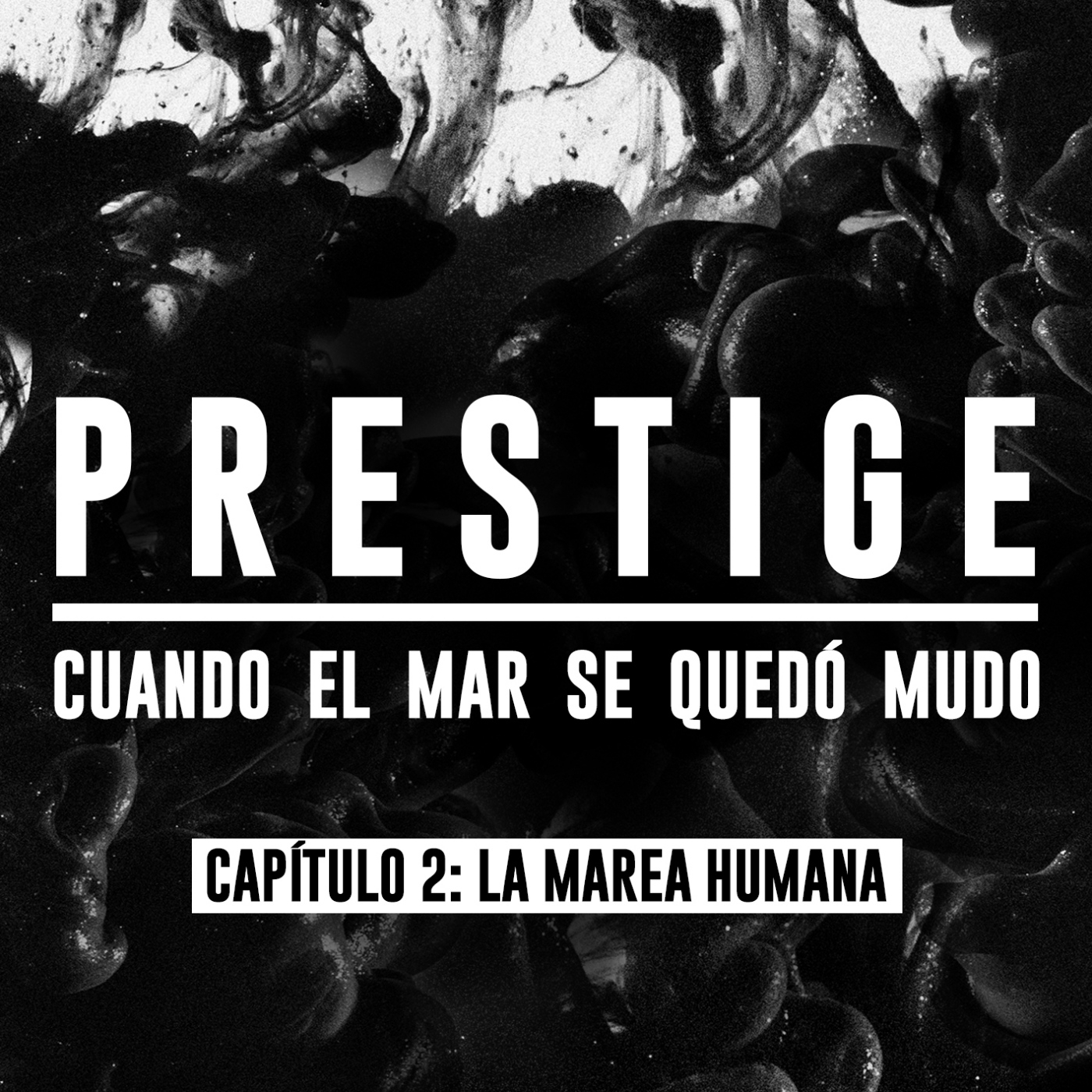 Portada de Carne Cruda - PROGRAMAS